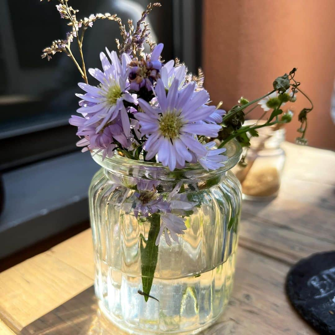 朝岡実嶺さんのインスタグラム写真 - (朝岡実嶺Instagram)「すごく綺麗で平和なオルデンブルク🇩🇪  Oldenburg is very beautiful and peaceful🇩🇪  #オルデンブルク #ドイツ #oldenburg #germany」11月12日 23時04分 - mirei_asaoka