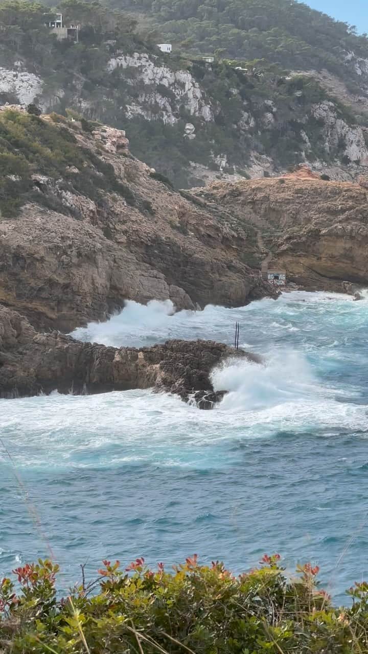 WOUTER PEELENのインスタグラム：「🌊」