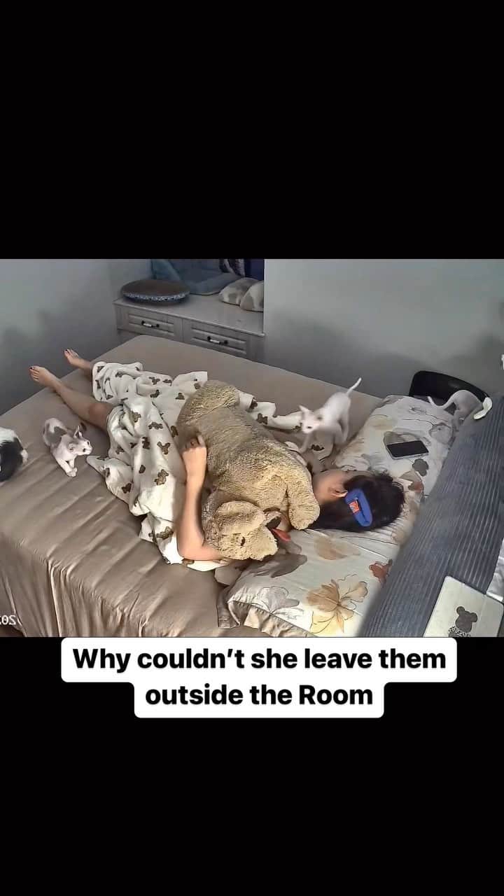 Cute Pets Dogs Catsのインスタグラム：「Why couldn’t she leave them outside the Room  Credit: adorable @五崽日记 | DY ** For all crediting issues and removals pls 𝐄𝐦𝐚𝐢𝐥 𝐮𝐬 ☺️  𝐍𝐨𝐭𝐞: we don’t own this video/pics, all rights go to their respective owners. If owner is not provided, tagged (meaning we couldn’t find who is the owner), 𝐩𝐥𝐬 𝐄𝐦𝐚𝐢𝐥 𝐮𝐬 with 𝐬𝐮𝐛𝐣𝐞𝐜𝐭 “𝐂𝐫𝐞𝐝𝐢𝐭 𝐈𝐬𝐬𝐮𝐞𝐬” and 𝐨𝐰𝐧𝐞𝐫 𝐰𝐢𝐥𝐥 𝐛𝐞 𝐭𝐚𝐠𝐠𝐞𝐝 𝐬𝐡𝐨𝐫𝐭𝐥𝐲 𝐚𝐟𝐭𝐞𝐫.  We have been building this community for over 6 years, but 𝐞𝐯𝐞𝐫𝐲 𝐫𝐞𝐩𝐨𝐫𝐭 𝐜𝐨𝐮𝐥𝐝 𝐠𝐞𝐭 𝐨𝐮𝐫 𝐩𝐚𝐠𝐞 𝐝𝐞𝐥𝐞𝐭𝐞𝐝, pls email us first. **」
