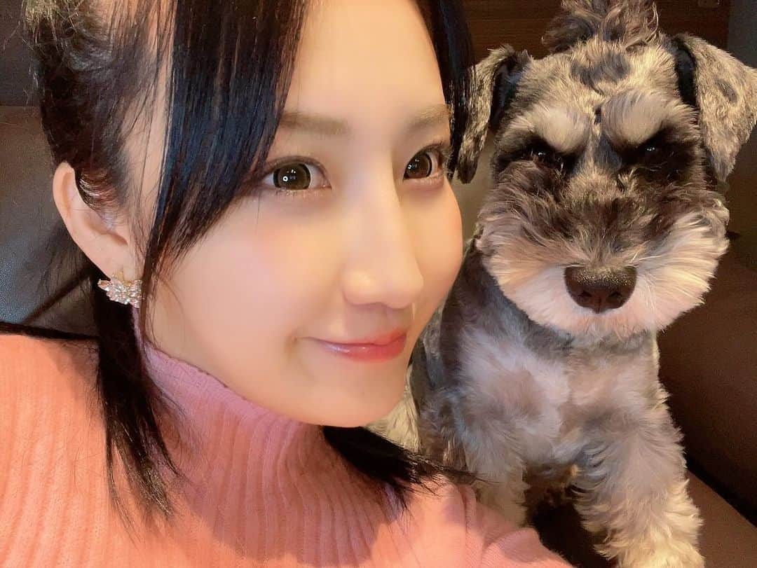 熊谷麻音さんのインスタグラム写真 - (熊谷麻音Instagram)「･ ･ ･ かぞく🐶👩🐶♡ ･ ･ ･ #シュナウザー  #シュナスタグラム  #シュナウザーカット  #シュナウザー部  #シュナウザー大好き  #シュナウザー好きさんと繋がりたい  #シュナウザー多頭飼い  #シュナウザーlove  #シュナウザーのいる暮らし  #愛犬家  #犬のいる暮らし  #犬バカ部  #犬スタグラム  #犬との暮らし  #髭部  #シュナウザーブラックアンドシルバー」11月12日 23時34分 - mao_kumagai