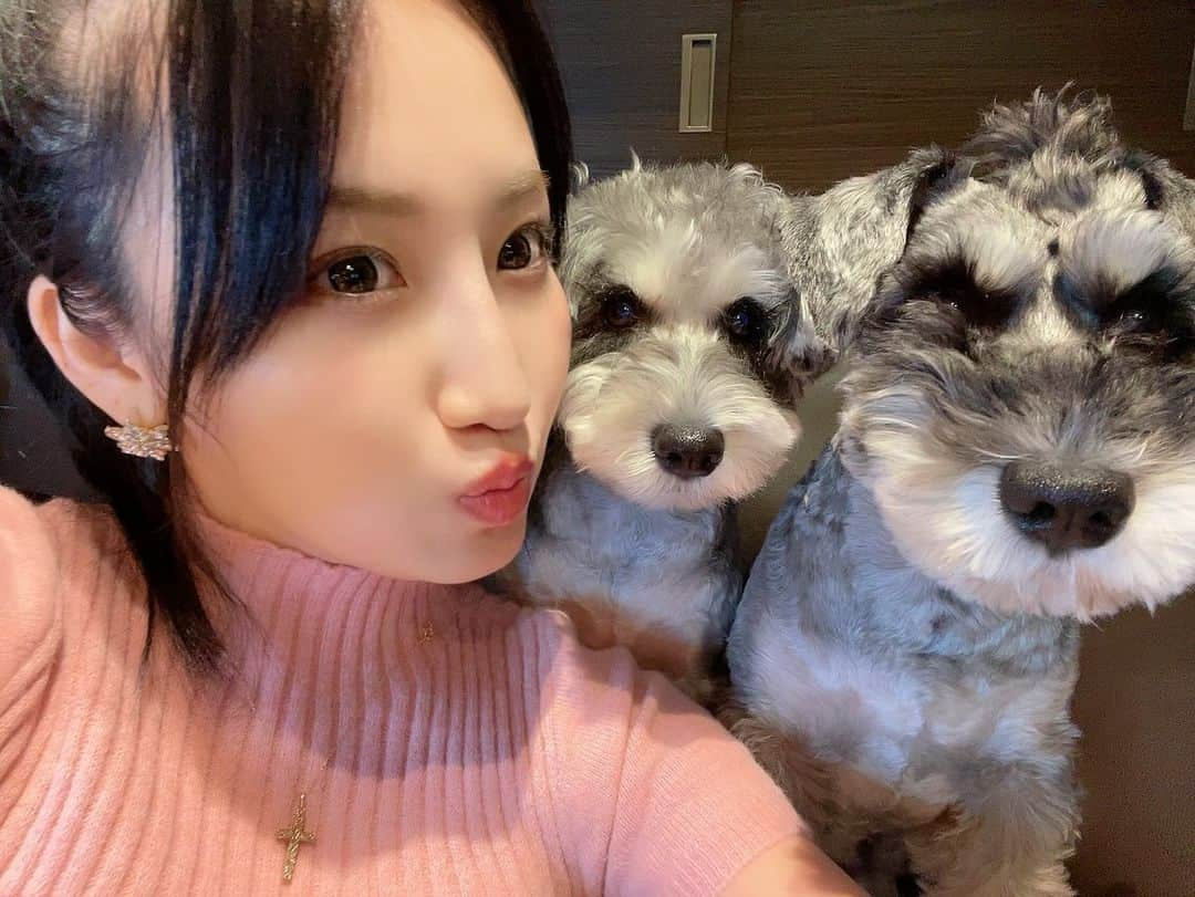 熊谷麻音さんのインスタグラム写真 - (熊谷麻音Instagram)「･ ･ ･ かぞく🐶👩🐶♡ ･ ･ ･ #シュナウザー  #シュナスタグラム  #シュナウザーカット  #シュナウザー部  #シュナウザー大好き  #シュナウザー好きさんと繋がりたい  #シュナウザー多頭飼い  #シュナウザーlove  #シュナウザーのいる暮らし  #愛犬家  #犬のいる暮らし  #犬バカ部  #犬スタグラム  #犬との暮らし  #髭部  #シュナウザーブラックアンドシルバー」11月12日 23時34分 - mao_kumagai