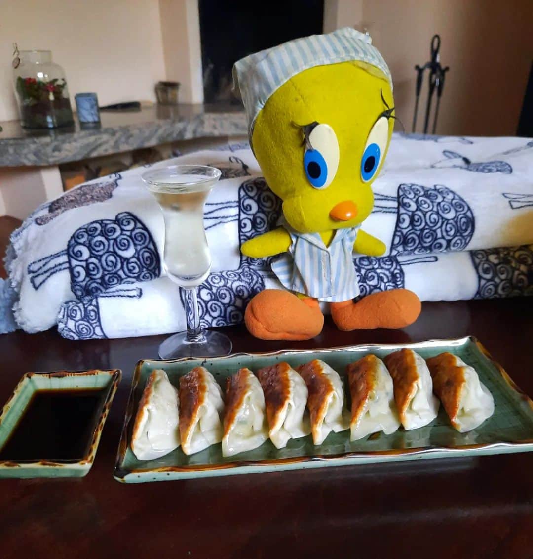 Little Yellow Birdのインスタグラム：「A little snack on this cold Sunday evening: gyozas!!  #littleyellowbird #tweety #tweetykweelapis #ad#yellow #bird #sunday #weekend #stayingin #snack #borrel #gyoza #asianfood #fingerfood #jenever #stuffedanimalsofinstagram #plushiesofinstagram」