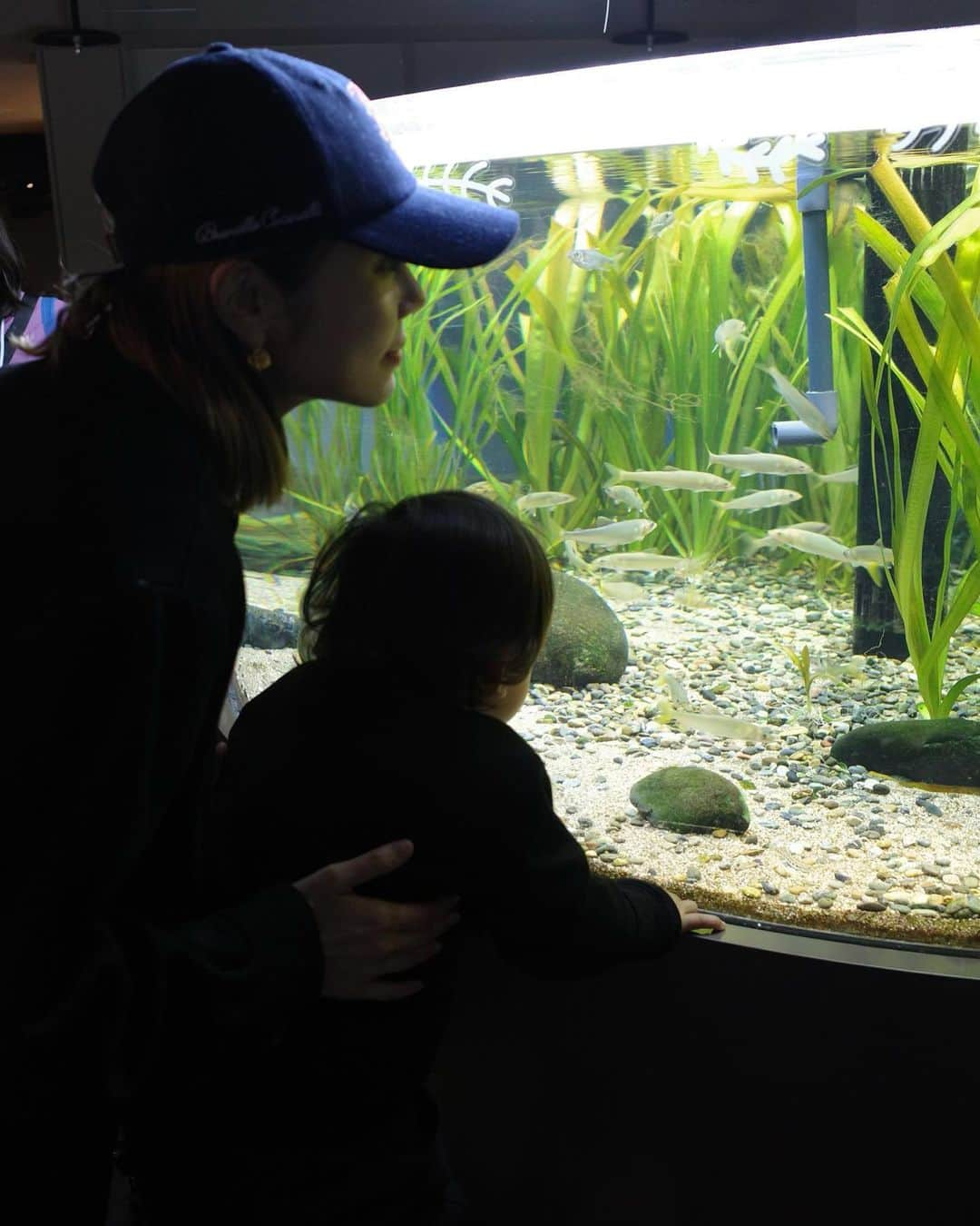 島袋聖南さんのインスタグラム写真 - (島袋聖南Instagram)「水族館好きのぴよくん 年間パス買っちゃった🫶🐡 帰りにプリクラ撮ったんだけど、 てんやわんや感伝わる？？😂」11月12日 23時38分 - seina4444