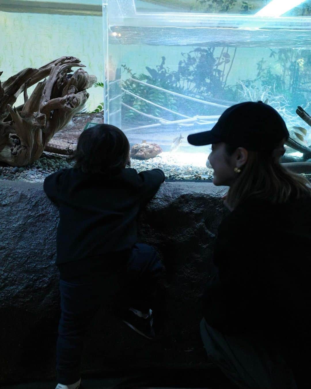 島袋聖南さんのインスタグラム写真 - (島袋聖南Instagram)「水族館好きのぴよくん 年間パス買っちゃった🫶🐡 帰りにプリクラ撮ったんだけど、 てんやわんや感伝わる？？😂」11月12日 23時38分 - seina4444