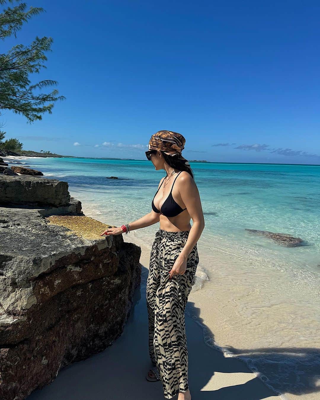 キム・リーさんのインスタグラム写真 - (キム・リーInstagram)「I finally got to visit Da Pig Beach! The pigs were so adorable 😍 It was such a great experience. This trip inspired me to enjoy nature more and my next goal is to visit Cat island 🏝️  Bahamas! Thank you again and see you in March 2024. Next Stop: SINGAPORE! See you in 24hrs」11月12日 23時50分 - kimlee