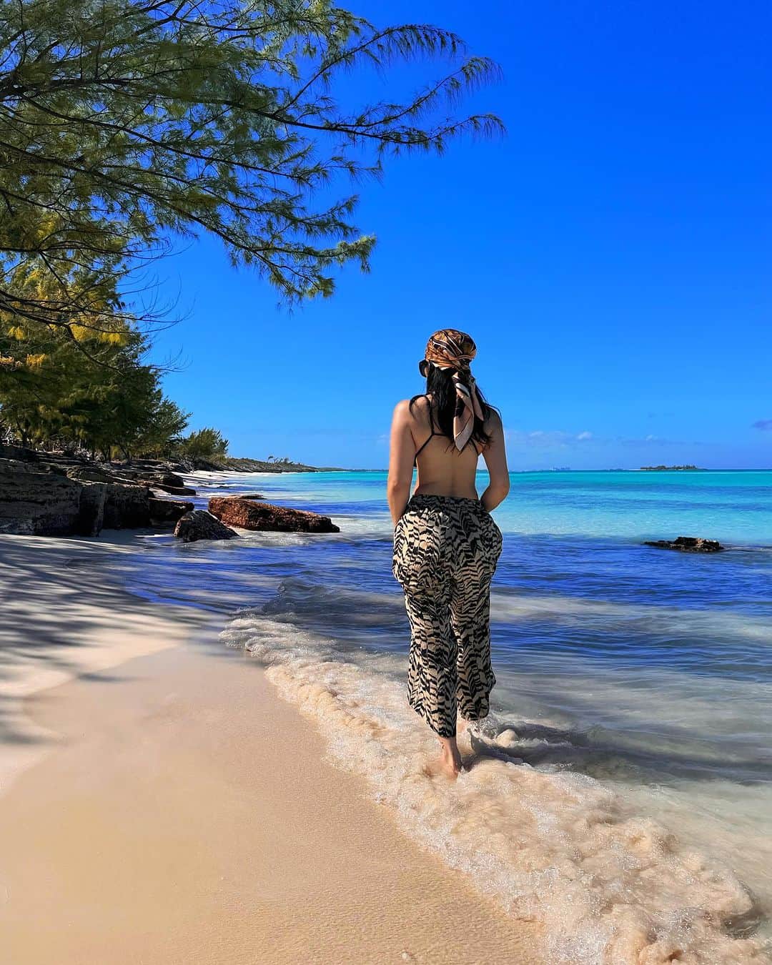 キム・リーさんのインスタグラム写真 - (キム・リーInstagram)「I finally got to visit Da Pig Beach! The pigs were so adorable 😍 It was such a great experience. This trip inspired me to enjoy nature more and my next goal is to visit Cat island 🏝️  Bahamas! Thank you again and see you in March 2024. Next Stop: SINGAPORE! See you in 24hrs」11月12日 23時50分 - kimlee