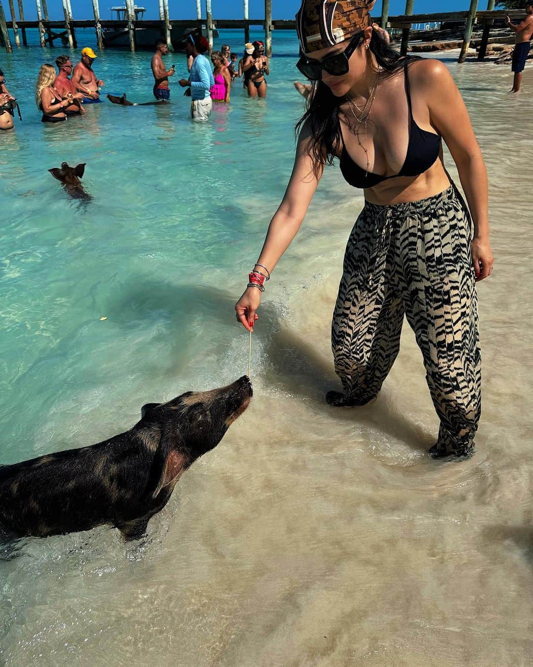 キム・リーのインスタグラム：「I finally got to visit Da Pig Beach! The pigs were so adorable 😍 It was such a great experience. This trip inspired me to enjoy nature more and my next goal is to visit Cat island 🏝️  Bahamas! Thank you again and see you in March 2024. Next Stop: SINGAPORE! See you in 24hrs」