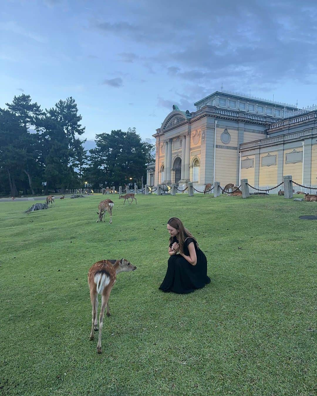 yuukachiさんのインスタグラム写真 - (yuukachiInstagram)「奈良おでかけ🦌おすすめスポット✨️  スワイプしてね▷▶︎▷ 奈良でお出かけした時のまとめ特集🚗³₃  ◎(1~5枚目)プリンの森🍮( #まほろば大仏プリン本舗) 奈良行ったら絶対行く！！プリン好きにはぜひ行って欲しい🥹 17:30で閉まるから早めに行くのをおすすめします！！ いつもキリギリ閉まる前に買うからバタバタww プリンソフトクリームも美味しいよ‪🍦‬✨️  ◎(6.7枚目) 山頂ピザ🍕( #山岡ピザ) 山の上から見渡しながらテラス席で食べるピザは絶品です🤤 マルゲリータが美味しすぎた🥹✨️  ◎(8.9枚目) 奈良公園🦌 ( #燈花会) 奈良公園に鹿見に行ったら外国人観光客 増えてて 沢山賑わってた🤣タイミング良く燈花会もやってたから 屋台食べて😋  ◎生駒山上遊園地へ 🎠🎡🎢 (入場料無料！！！) 奈良デートの〆は、生駒山上遊園地！！ ここの自分で漕ぐ乗り物があるんやけど、それから見える 夜景がめちゃくちゃ綺麗で🥹✨️TIKTOKでもバズってるよ✨️！  関西で友達とお出かけorデートの際に 良かったら参考にしてみてください✨️☺️  #奈良#奈良観光#奈良デート#カップル#デート #関西デート#奈良グルメ#プリンの森#山岡ピザ #生駒山上遊園地#生駒山#奈良公園#鹿#奈良旅行」11月13日 1時20分 - yuuka_stagram