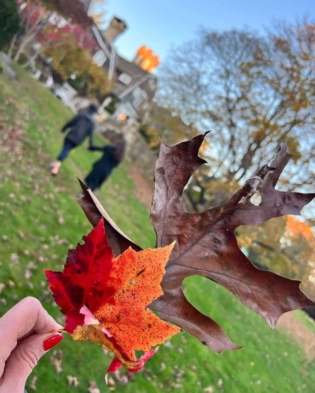 クリスティ・ブリンクリーさんのインスタグラム写真 - (クリスティ・ブリンクリーInstagram)「The Spectacular crunch and color of a Fall walk in the Woods with  @alexarayjoel @ryanjgleason and #chesterbrinkley #towerhillli #hike #exercise #moveitorrust」11月13日 7時14分 - christiebrinkley