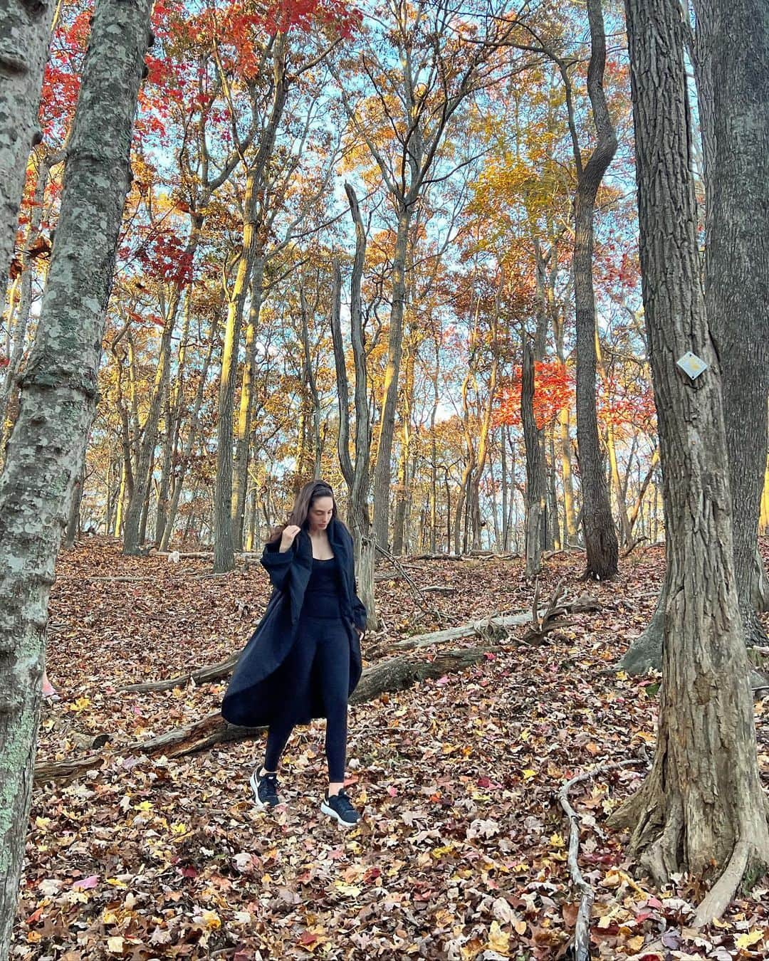 クリスティ・ブリンクリーさんのインスタグラム写真 - (クリスティ・ブリンクリーInstagram)「The Spectacular crunch and color of a Fall walk in the Woods with  @alexarayjoel @ryanjgleason and #chesterbrinkley #towerhillli #hike #exercise #moveitorrust」11月13日 7時14分 - christiebrinkley