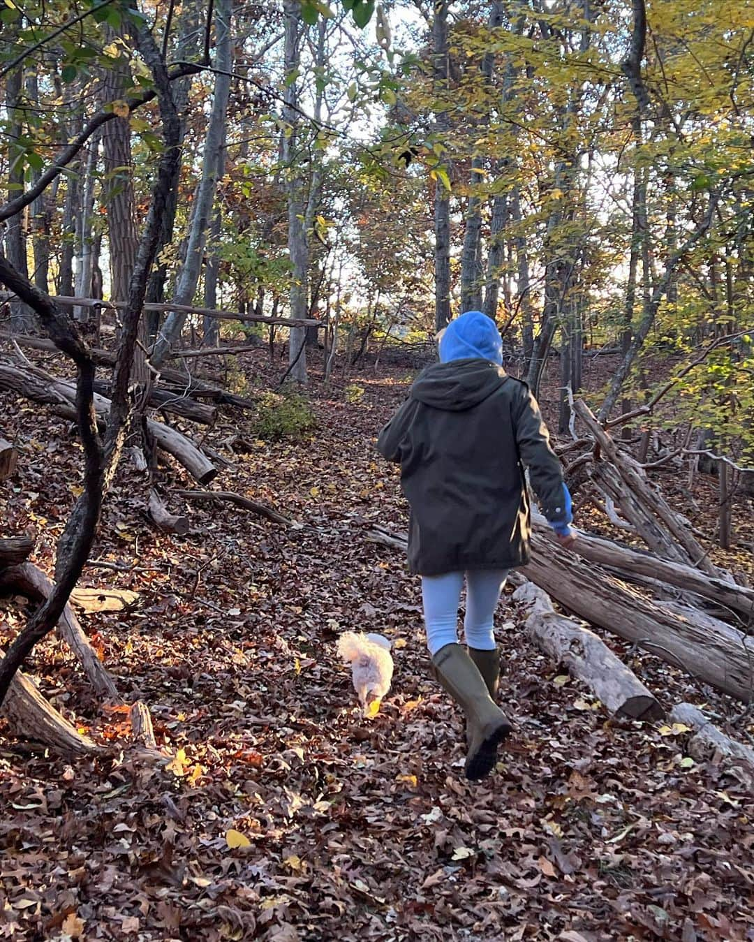 クリスティ・ブリンクリーさんのインスタグラム写真 - (クリスティ・ブリンクリーInstagram)「The Spectacular crunch and color of a Fall walk in the Woods with  @alexarayjoel @ryanjgleason and #chesterbrinkley #towerhillli #hike #exercise #moveitorrust」11月13日 7時14分 - christiebrinkley