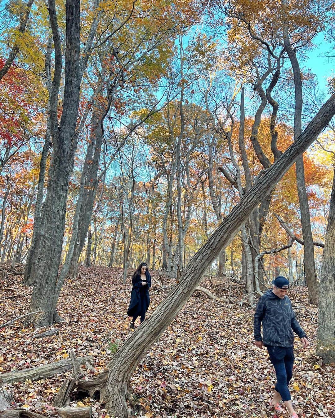 クリスティ・ブリンクリーさんのインスタグラム写真 - (クリスティ・ブリンクリーInstagram)「The Spectacular crunch and color of a Fall walk in the Woods with  @alexarayjoel @ryanjgleason and #chesterbrinkley #towerhillli #hike #exercise #moveitorrust」11月13日 7時14分 - christiebrinkley