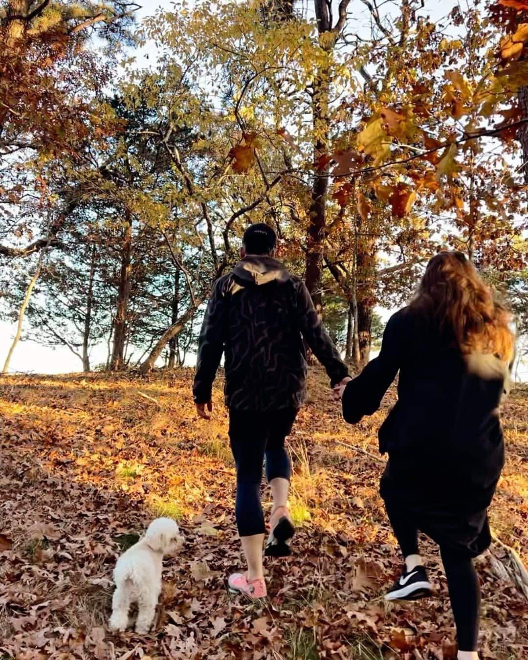 クリスティ・ブリンクリーのインスタグラム：「The Spectacular crunch and color of a Fall walk in the Woods with  @alexarayjoel @ryanjgleason and #chesterbrinkley #towerhillli #hike #exercise #moveitorrust」