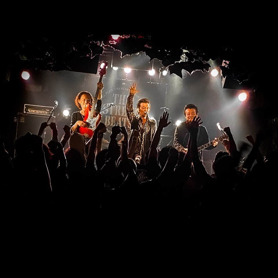 THE STREET BEATS（ザ・ストリート・ビーツ）のインスタグラム：「. ■秋のツアー8本目!!昨夜の神戸は超絶激アツ!!胸に沁み入る情熱的な夜でした!! 来週は11.23広島セカンドクラッチ、11.25福岡ドラムサン!! そして名古屋・大阪・東京ファイナル!!ご来場お待ちしてます!!  ■DEBUT 35 YEARS TOUR｜BEST WISHES 2023 各地豪華なオープニングゲスト決定!!HPでご確認下さい!! 前売￥4500発売中!! 11.23(木祝)広島 SECOND CRUTCH 11.25(土)福岡 DRUM SON 12.02(土)名古屋 RAD SEVEN ＊配信あり 12.03(日)大阪 Music Club JANUS ★デビュー35周年YEAR FINAL★ 12.10(日)東京 新宿LOFT ＊配信あり 全公演｜前売￥4500発売中 当日￥5000　配信￥3000（11.11豊橋配信中。購入はHPで!）  ■デビュー35周年ライブDVD & CD『THANKS FIESTA』、ライブ会場にてNEWツアーグッズと共に発売中!!HPにて通販も受付中!!  ★NEW DVD『THANKS FIESTA -DEBUT 35 YEARS LIVE-』 ￥5000 ★NEW CD『THANKS FIESTA -DEBUT 35 YEARS LIVE-』 ￥3000 ★NEW[BEST WISHES]ツアーTシャツ黒　￥3500 （黒 / S、M、L、XL） ★NEW[BEST WISHES]ツアーTシャツ赤　￥3500 （赤 / S、M、L、XL） ★NEW[BEATSロゴ]トートバッグ　各￥2500  (黒、ナチュラル、ピンク、ターコイズ / 37㎝×36㎝×11㎝) ★NEW[BEATSロゴ]リストバンド　各￥1000 (黒、白、赤、黄、ピンク、青)  【口座名 / NEOVISION】 【口座番号 / 00180-8-655394】 ■価格は全て税込です。商品代金に返送手数料をプラスしてお払い込み下さい。 返送手数料は1点￥500、2点以上は￥1000です。 ■通販は【郵便振替】にて受け付けます。 郵便局備え付けの青い払込取扱票 (「電信」ではなく「通常払込」のもの)を使用し、 【通信欄】に希望商品名、数量（サイズ指定や色指定をお忘れなく）、 【ご依頼人】の欄に郵便番号、住所、氏名、電話番号を 丁寧にご明記のうえ【商品代金合計＋返送手数料】をお払い込み下さい。 商品1万円以上ご購入で直筆サインプレゼント!!詳細はHPでご確認下さい!!  ■BASSエンリケ主催『蜂の四十年 俺のROCK自由祭』開催決定! BARBEE BOYSのデビューから40年、最年少エンリケが2024年ついに還暦を迎えます。 この40年の音楽人生をギュッと凝縮した濃厚な時間をお楽しみください。Let’s Grow Old Together!!  出演｜ENRIQUE with FRIENDS (ベミーズ/THE☆歌謡ROCKERS/RiQUEEN) THE STREET BEATS｜いまみちともたか High Time GUEST｜杏子/山本恭司(BOWWOW G2、ex-VOW WOW、WILDFLAG)/ うじきつよし(子供ばんど)/永井真理子/MAGUMI (Lä-ppisch)/Keith(ARB)  2024年2月3日(土) 川崎クラブチッタ 開場16:00｜開演17:00 前売¥5500｜当日¥6500ドリンク別 詳細はHPで!!  #thestreetbeats #ストリートビーツ  #尾崎ケン  #寺下カズキ」