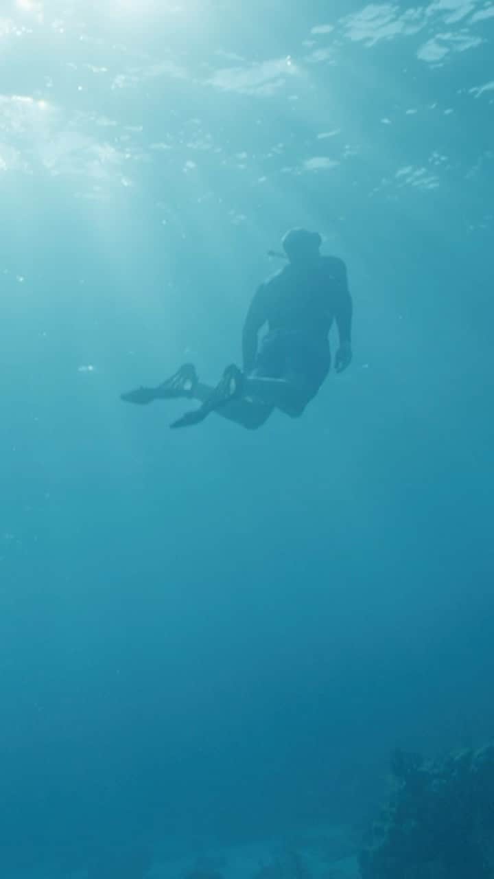 のインスタグラム：「This is the @earthshotprize in action! 🌍💚  See how @coralvitareefs is regrowing our world’s dying reefs and restoring eco-systems 🪸🤿  Watch the full video on YouTube: link in bio」