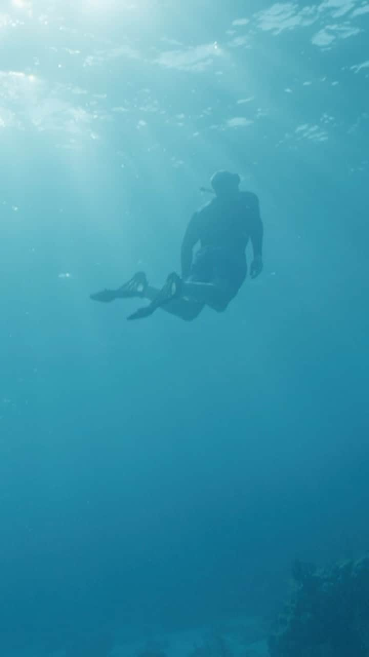 ウィリアム（ケンブリッジ公）のインスタグラム：「This is the @earthshotprize in action! 🌍💚  See how @coralvitareefs is regrowing our world’s dying reefs and restoring eco-systems 🪸🤿  Watch the full video on YouTube: link in bio」