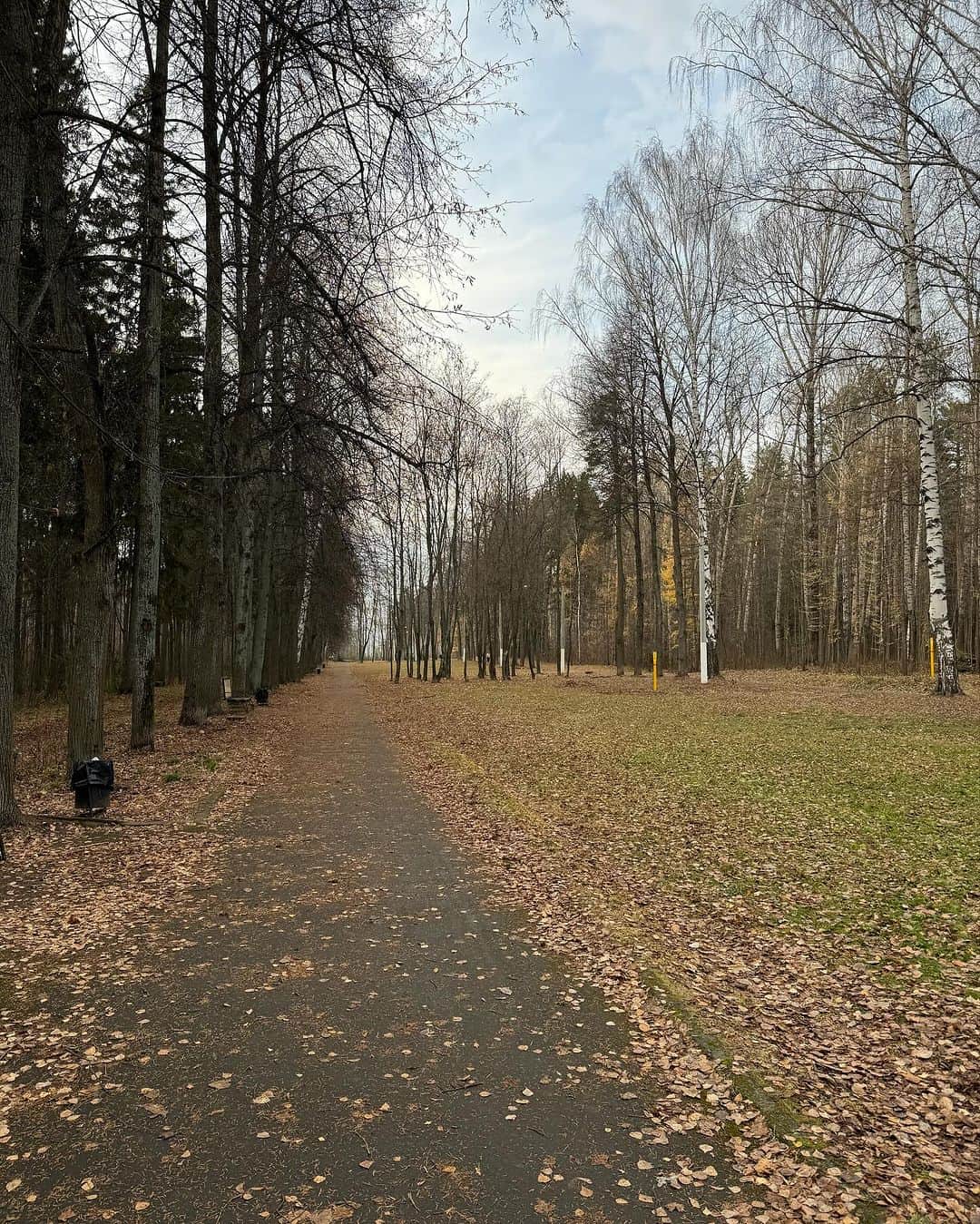 セルゲイ・ドブリンさんのインスタグラム写真 - (セルゲイ・ドブリンInstagram)「🛣️」11月13日 3時13分 - sergeydobrin