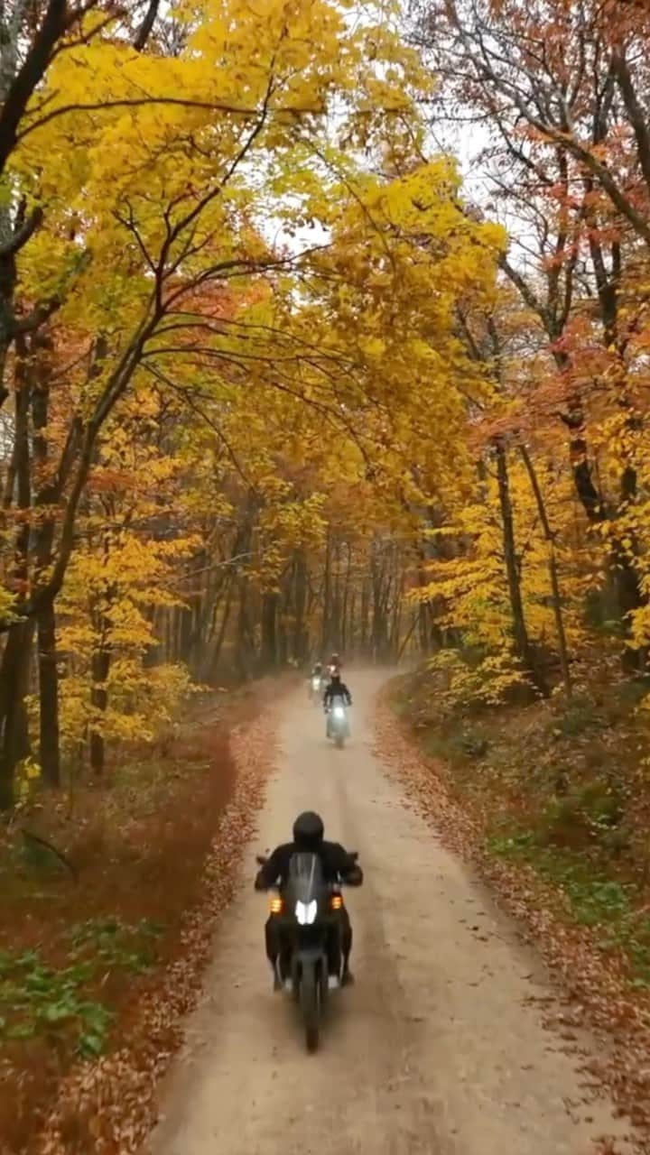 Honda Powersports USのインスタグラム：「Let’s add a little more “fun” into your Sunday Funday. 🍂#SquadGoals #BetterOnAHonda」