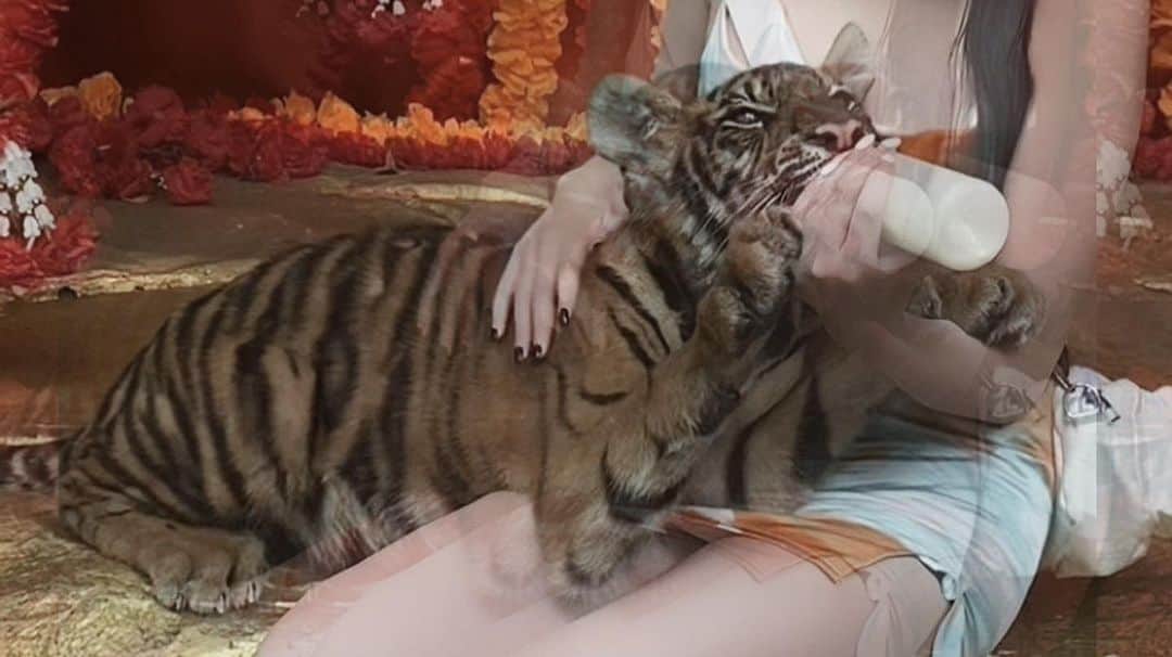 天野ちよのインスタグラム