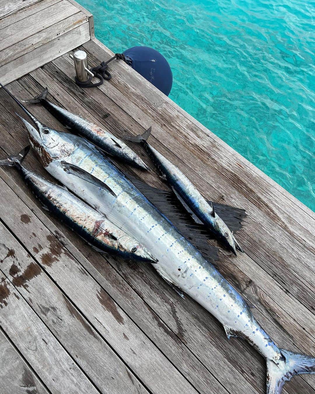 ASUKAさんのインスタグラム写真 - (ASUKAInstagram)「. Fishing 🎣   お魚もすごかったけど、海から出てる虹が全部見れたことが嬉しかった🌈  #maldivestrip #モルディブ旅行 #リゾートライフ #海外旅行 #魚釣り #虹  #sサイズコーデ #おちびコーデ #リゾートコーデ」11月13日 7時50分 - a.asuka.a