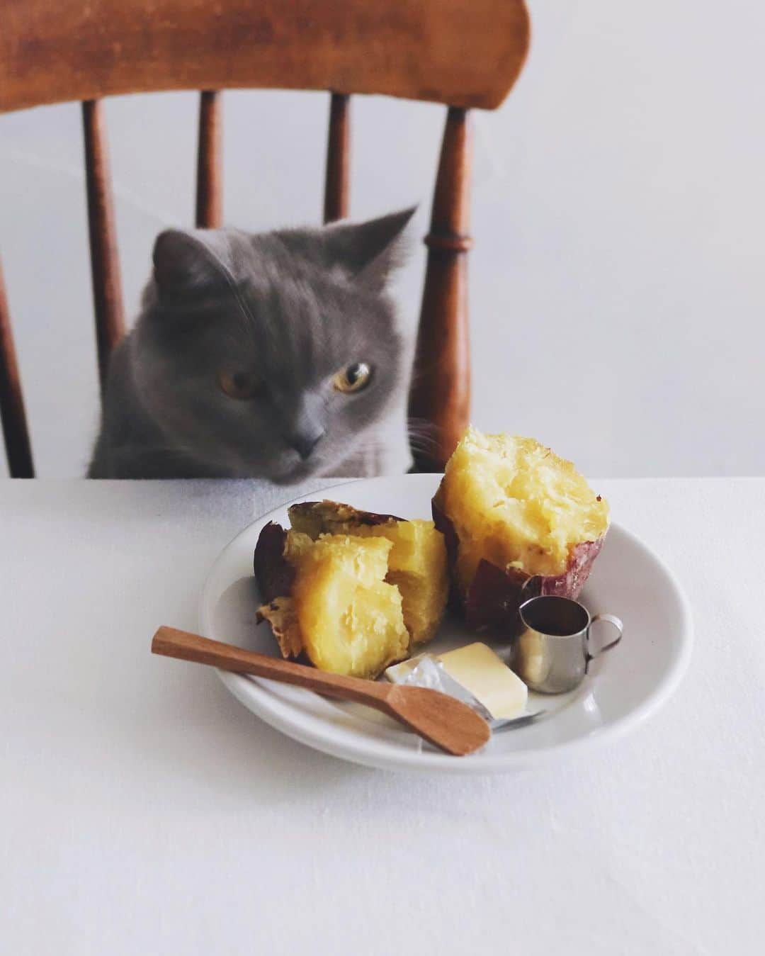 樋口正樹さんのインスタグラム写真 - (樋口正樹Instagram)「roast sweet potato 🍠  １５時のおやつに焼きいも。 普通の何でもない芋なので 焼きたてホクホクのとこに 蜂蜜とバターでズルをする🤗  ３枚目は待ち受け画にした ボナさんと焼きいもの写真。 元はスレッズにあげました。  . #やきいも #焼きいも #お芋好き #yakiimo #🍠」11月13日 15時40分 - higuccini