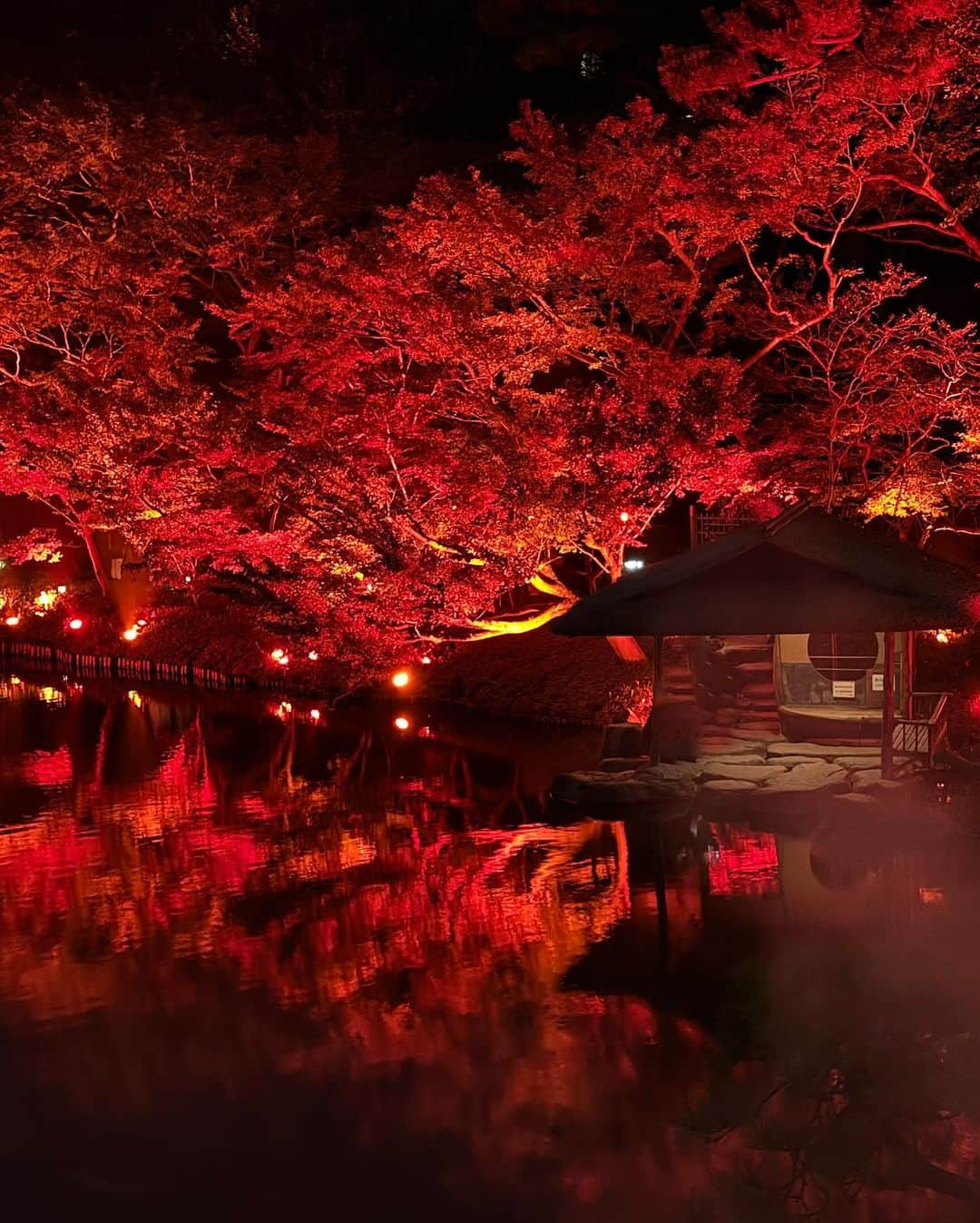 村上麻衣さんのインスタグラム写真 - (村上麻衣Instagram)「🍁TOKYO RED GARDEN🍁  江⼾時代より続く約400年の歴史を紡いできた ⼋芳園の⽇本庭園を、 赤⼀⾊に彩るライトアップ。  真っ赤で幻想的な世界でした🍂🍁  #八芳園#もみじ #紅葉スポット #紅葉 #もみじ狩り #夜景 #夜景スポット #夜景倶楽部 #夜景が綺麗 #tokyo」11月13日 16時10分 - maimaisue