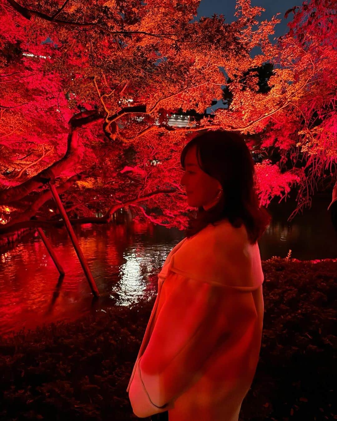 村上麻衣さんのインスタグラム写真 - (村上麻衣Instagram)「🍁TOKYO RED GARDEN🍁  江⼾時代より続く約400年の歴史を紡いできた ⼋芳園の⽇本庭園を、 赤⼀⾊に彩るライトアップ。  真っ赤で幻想的な世界でした🍂🍁  #八芳園#もみじ #紅葉スポット #紅葉 #もみじ狩り #夜景 #夜景スポット #夜景倶楽部 #夜景が綺麗 #tokyo」11月13日 16時10分 - maimaisue