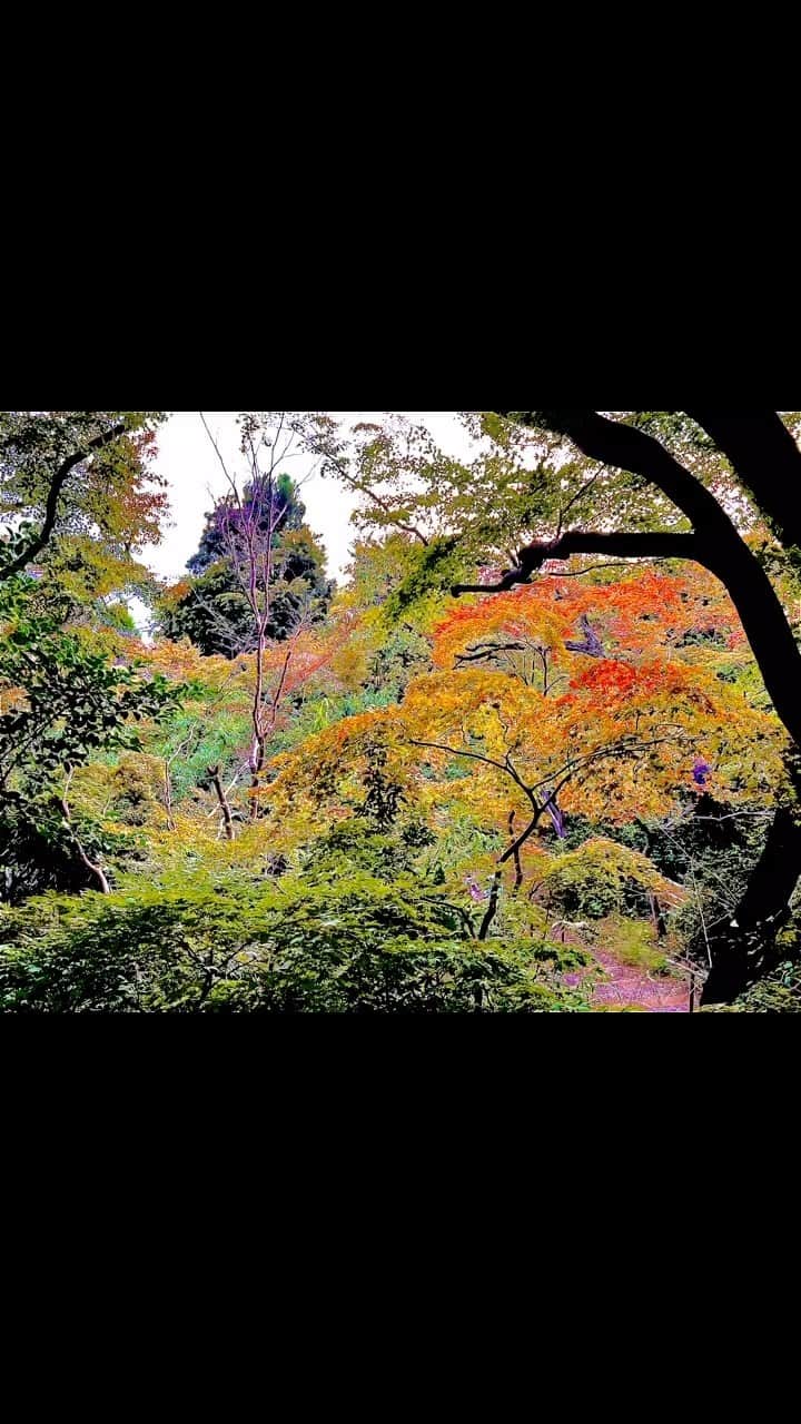 世良公則のインスタグラム：「・・・・・・  #世良公則 #masanorisera #japaneseartist #japaneseculture #日本の美 #日本の風景」