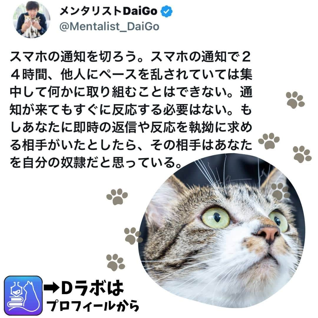 メンタリストDaiGoさんのインスタグラム写真 - (メンタリストDaiGoInstagram)「🐈本日の名言📚 プロフィールからDラボもみてね  #心理学 #メンタリスト #dラボ  #dラボはプロフィールから」11月13日 8時00分 - mentalistdaigo