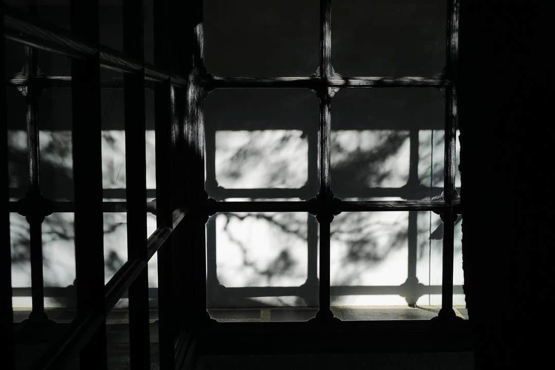 黒沢祐子のグルメインスタ