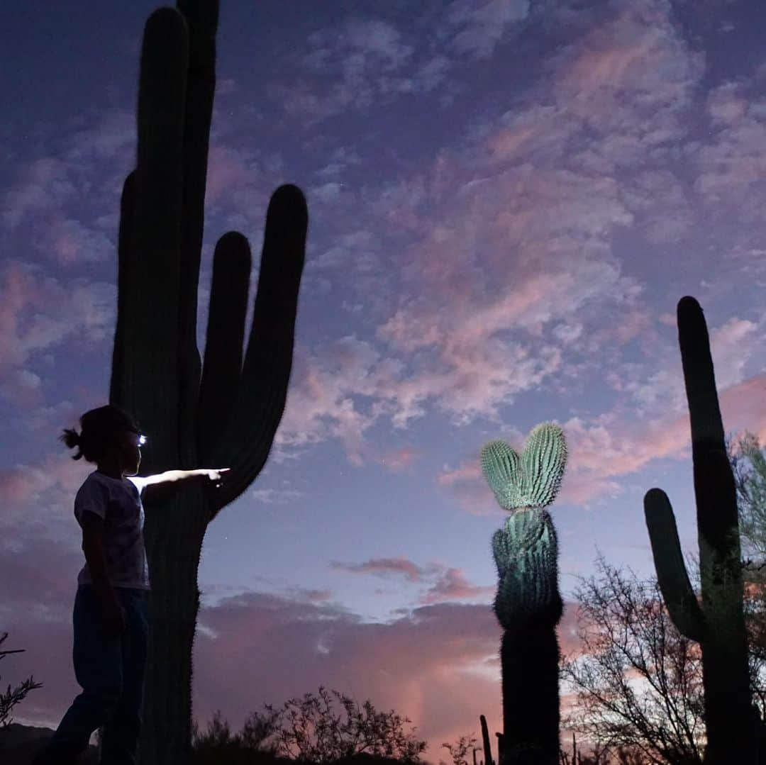 テレザ・カサロヴァさんのインスタグラム写真 - (テレザ・カサロヴァInstagram)「The second photo is Luka pointing to a cactus saying “it’s a heart” and if that doesn’t pull on your heartstrings a bit, then you may have less of one than that cactus. 😁😁😁」11月13日 8時12分 - terezakacerova