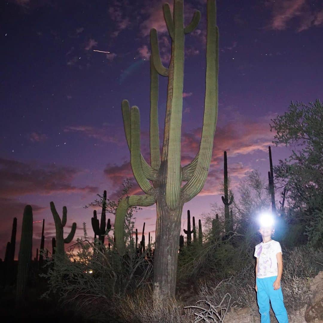 テレザ・カサロヴァのインスタグラム：「The second photo is Luka pointing to a cactus saying “it’s a heart” and if that doesn’t pull on your heartstrings a bit, then you may have less of one than that cactus. 😁😁😁」