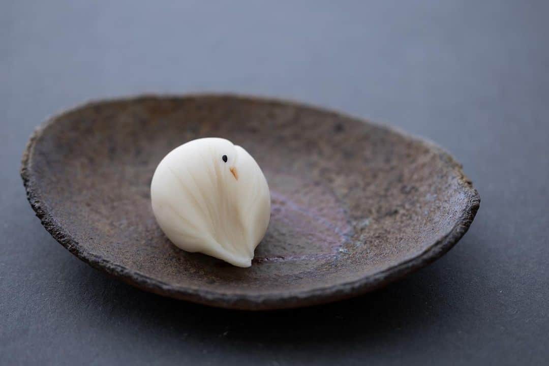Toru Tsuchieのインスタグラム：「今日の #和菓子 はねりきりで作った宮の鳩です。 ねりきりとは白餡に餅や芋を混ぜて作った和菓子で 茶道 で使われる「主菓子」の一種です。 撮影 用に製作しました。  この写真は自然光を使って撮影しています。 LEDライトを使ったり、モノブロックストロボを使ったりと 気分とその時の部屋の明るさで使い分けています。  今月末に東京で菓子工業組合の方を対象の撮影講習をの講師をすることになっていまして 本当は自然光で説明したいのですが会場の様子もわかりませんし天候もわかりませんので LEDライトを使っての説明をします。  １時間半程度ですが時間配分が難しいです。  フェイスブックページのいいね！もよろしくお願いします。 https://www.facebook.com/shishisu/  日本和菓子培训讲座接受请求。 Japanese Wagashi Training Seminar is accepting requests. Today's wagashi is pigeon with Nerikiri. Nerikiri is a Japanese unbaked cake based on white bean jam mixing and kneading rice cake, sugar, starch syrup. Is a kind of "Jounamagashi" as used in the tea ceremony. The sweets I've made for the shooting.」