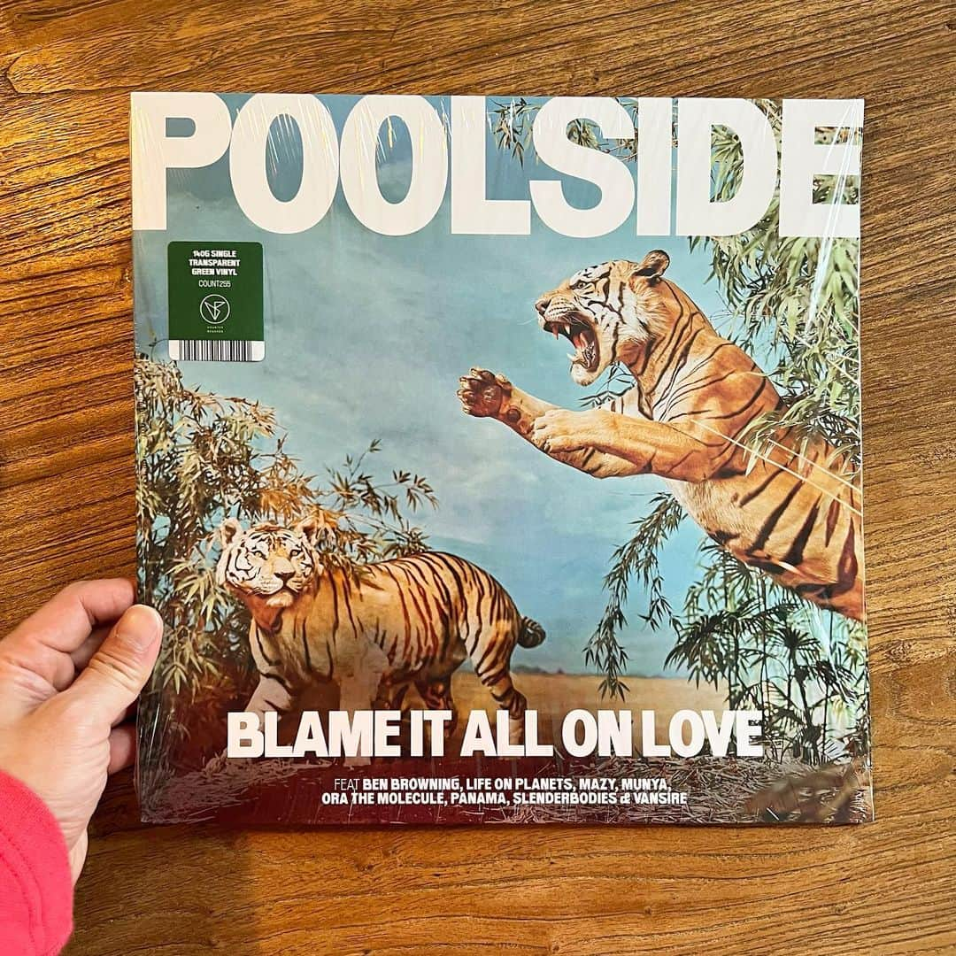 山田稔明のインスタグラム：「POOLSIDEの新譜が良かった。気持ちいいディスコグルーヴ。虎ジャケ。 #朝一番に聴くレコード #買ったレコード2023」