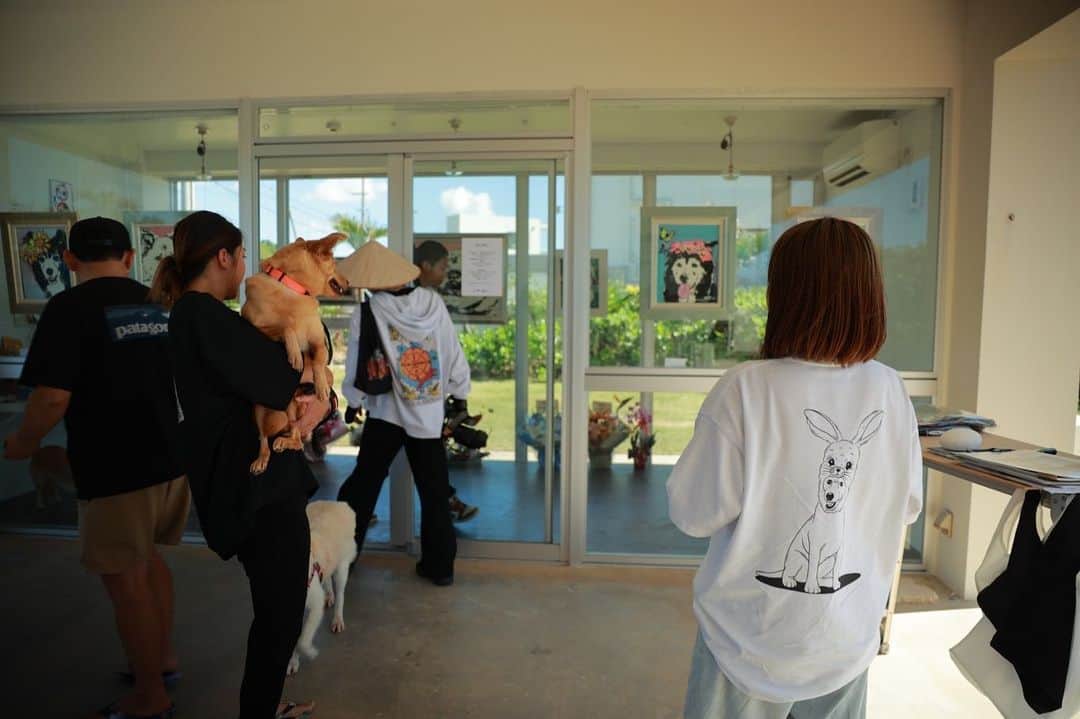 中原絵梨奈のインスタグラム：「老犬が我が家にたくさん居て、  看取りを覚悟しながらも 永遠の命を願う愛しい子たち。  現実日々目の前で年老いていく子たち。 かかる手間とお金をも厭わない愛おしい命。  苦しみを遥かに上回る尊い命を目の前に 弱音ばかり吐いてられず一生懸命これからのことを考える日々だったそんな時に  ゆーとさんが 絵を描いてくださいました….♡  私の言葉や行動では一生かかっても返せない大きなモノを頂きました。  願っても叶わないと思っていた 愛する ミッキー ダッフィー ドナルド リタが永遠の命となりました☺️✨  気を張って過ごす宮古島では感情のコントロールが難しく 大阪に戻ると毎日何故か泣けてくる。  悲しいわけじゃないんだけど 嬉し泣き？ 愛し過ぎ泣き？笑  この有り難い出来事は私の人生の宝物です。  宮古島で犬猫に出会えたことに感謝です。 本当にありがとう🐕🐈🐕🐈🐕🐈🐕🐈🐕🐈🐕🐈 @jooycamera.miyako . . . 皆様からの温かいご支援お願い致します Amazon欲しいものリスト  「宮古島SAVE THE ANIMALS」で検索 http://amzn.asia/gun9t9k  直接お送り頂ける場合は  906-0203 沖縄県宮古島市上野字宮国1809 「宮古島セーブザアニマルズ」までお願い致します。 ――――― ―――――――――――――  ゆうちょからのお振り込 【記号】17030 【番号】19189221 【口座名義】宮古島ＳＡＶＥＴＨＥＡＮＩＭＡＬＳ  その他金融機関からのお振り込 【銀行名】ゆうちょ銀行 【支店名】 七〇八　（店番 708） 【口座種別】普通 【口座番号】1918922 【口座名義】ミヤコシ゛マセーフ゛サ゛アニマルス゛  クレジット/コンビニ決済/PayPal/楽天ペイからの寄付ページはこちらから ↓ https://savetheanimals.stores.jp  チャリティグッズの購入はこちら ↓  https://miyakojima.base.shop/」