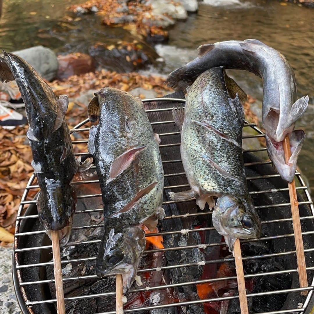 横峰沙弥香さんのインスタグラム写真 - (横峰沙弥香Instagram)「普段イカしか捌かないから焦りましたが 今はYouTubeでなんでもわかりやすく教えてもらえるんですね🥹おかずが増える趣味大歓迎😂🔥  #渓流釣り #奥多摩 #ニジマス #まめちゃん #ゆめこ #絵日記 #イラスト #procreateapp #ipadpro #applepencil   取り急ぎ夕ご飯はおすすめされたムニエルになりましたが(最高においしかった！) ニジマスまだまだたくさん！ ニジマスの美味しい食べ方って他になにがあるでしょうか……🤔🔥」11月13日 8時36分 - sayakayokomine