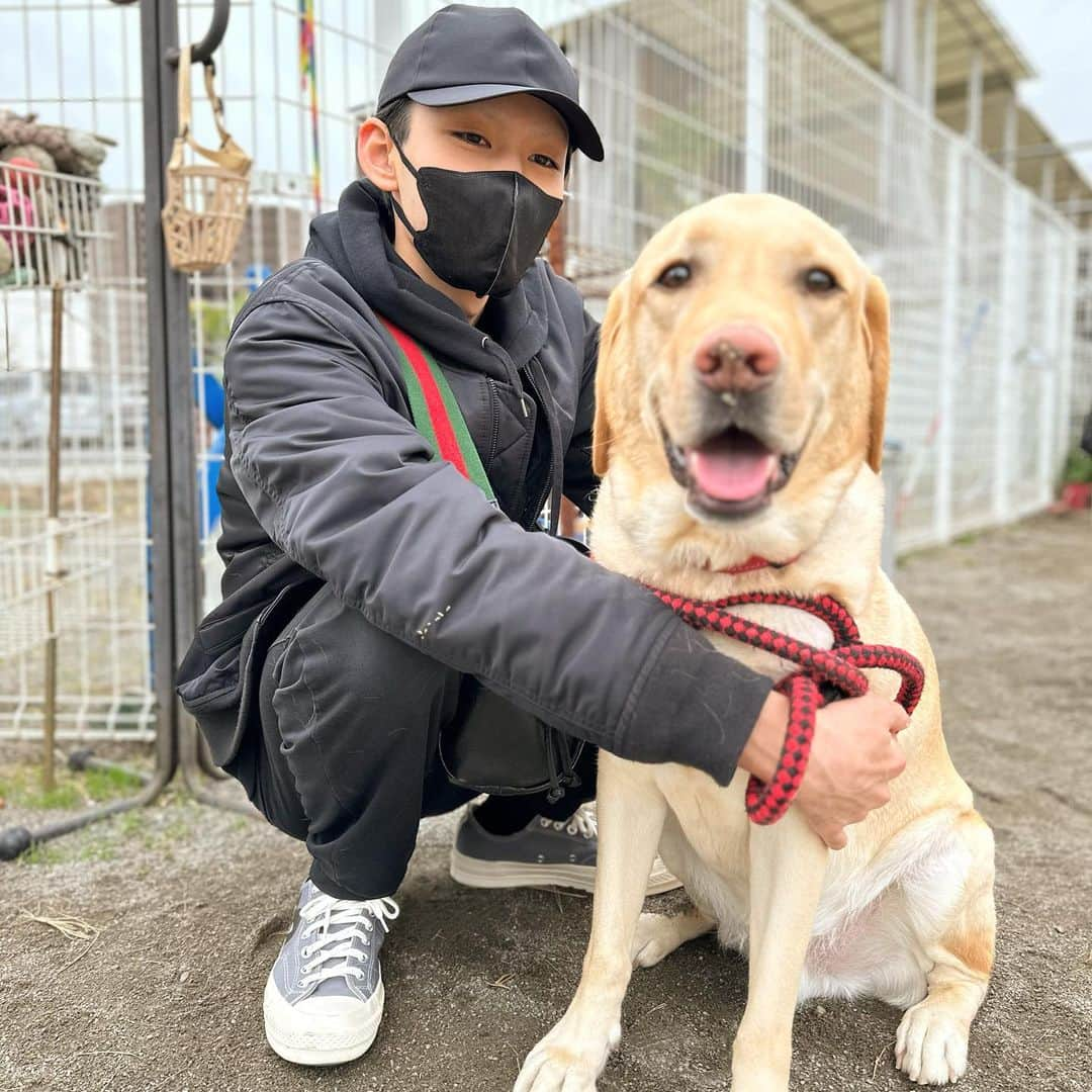 藤間園子さんのインスタグラム写真 - (藤間園子Instagram)「#遠足 に行ったよ🦮 . . . #ニッキーの日記 #いつもの仲間と #ドッグランでたくさん遊んだ #楽しかった〜 #帰りはもちろん #ばたんきゅー よ💤 #いっくん #押さないでもらっていいですか #autumnexcursion 🍂 #playedalot #withmyfriends #atthedogpark 🦮🐕‍🦺🐕🐩 #sofun 🌟 #finally #sleptlikealog 💤 #Ikkun #dontsqueezeme  #NickysDiary 🦮」11月13日 9時03分 - sonoko_kouraiya