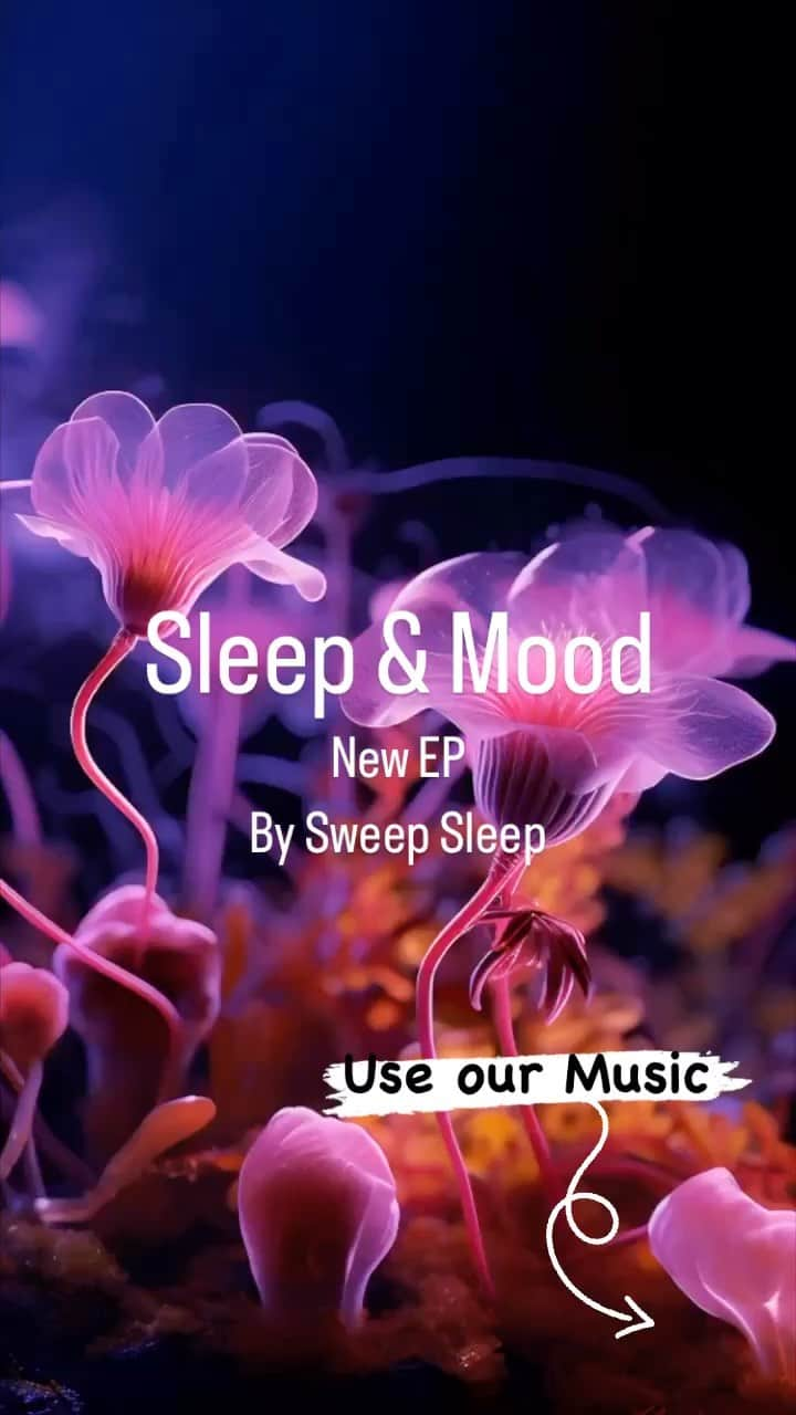 Cafe Music BGM channelのインスタグラム：「Enhance Your Mood with 'Sleep & Mood' by Sweep Sleep🌙🛏️ #Tranquil #ElectronicMusic and #AmbientVibes  💿 Listen Everywhere: https://bgmc.lnk.to/LVV5eErh  🎵 Sweep Sleep: https://bgmc.lnk.to/XFWxxODT  ／ 🎂 New Release ＼ November 10th In Stores 🎧 Sleep & Mood  By Sweep Sleep  #EverydayMusic #SweepSleepSounds #MoodEnhancement #ChillElectronica #AmbientMelodies #ElectronicRelaxation #TranquilTunes #EverydayListening」