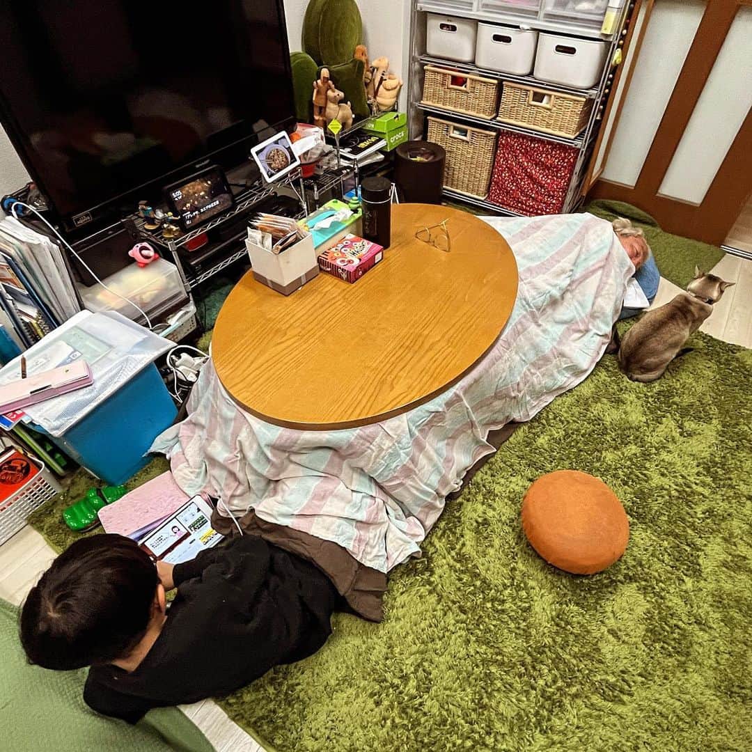 水谷さるころのインスタグラム：「この週末、こたつを出しました。」