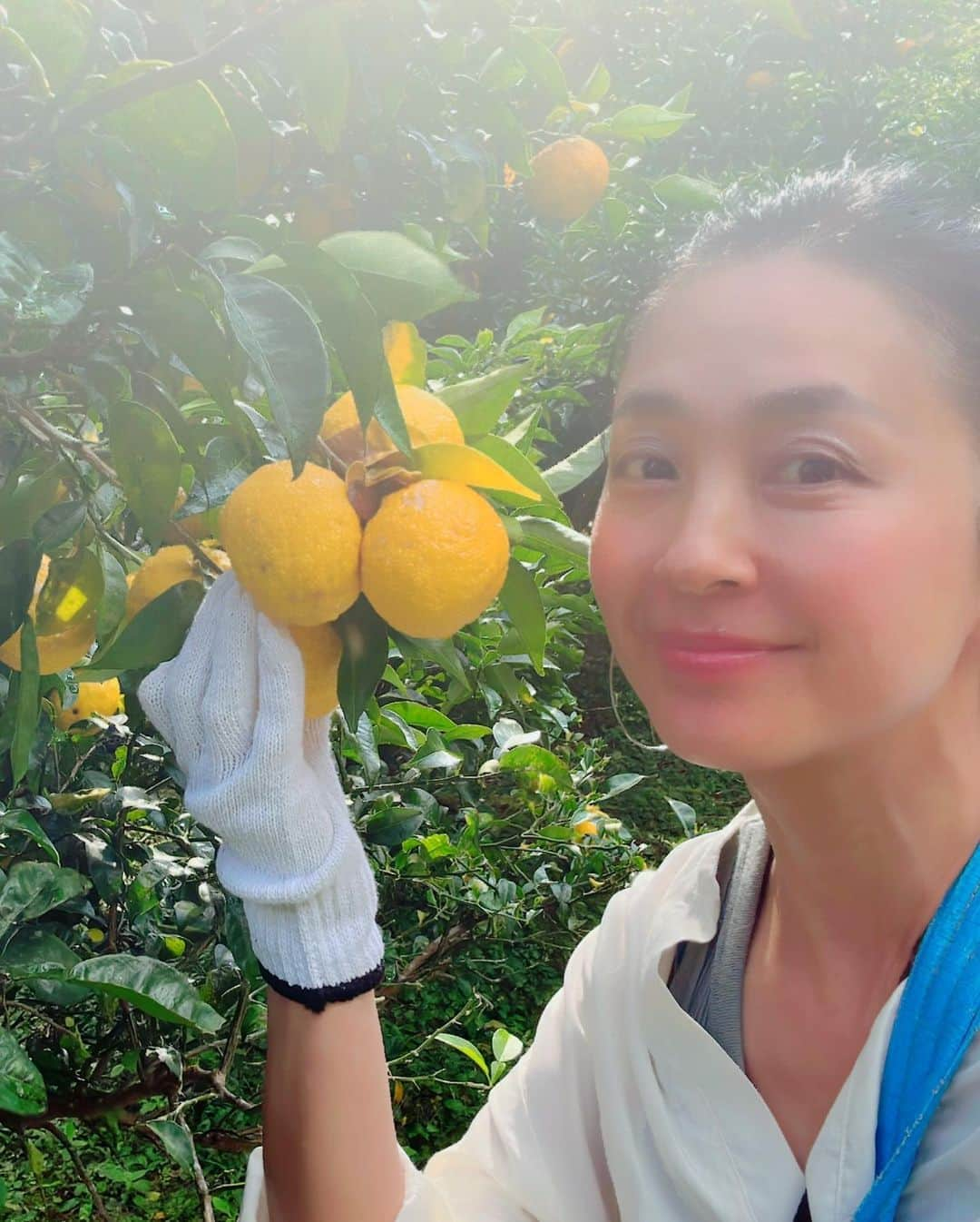 前田文香さんのインスタグラム写真 - (前田文香Instagram)「今年も恒例の『高知の柚子狩り🍊』へ行って参りました⭐️今回は私も完全プライベート☀️行きたいと声をかけて下さった方と現地集合🚗✨  最高のお天気に恵まれて、美味しいもの頂いて、たくさん柚子を頂いて帰りました！  農家の松本さんご一家に、今年も大変お世話になりました！心からのおもてなしに🌼またまた感動&感謝です✨  ★高知柚子狩りの旅（毎年11月上旬のみ） おもてなし　野根家https://toyo-noneya.com/」11月13日 9時51分 - fumika.maeda