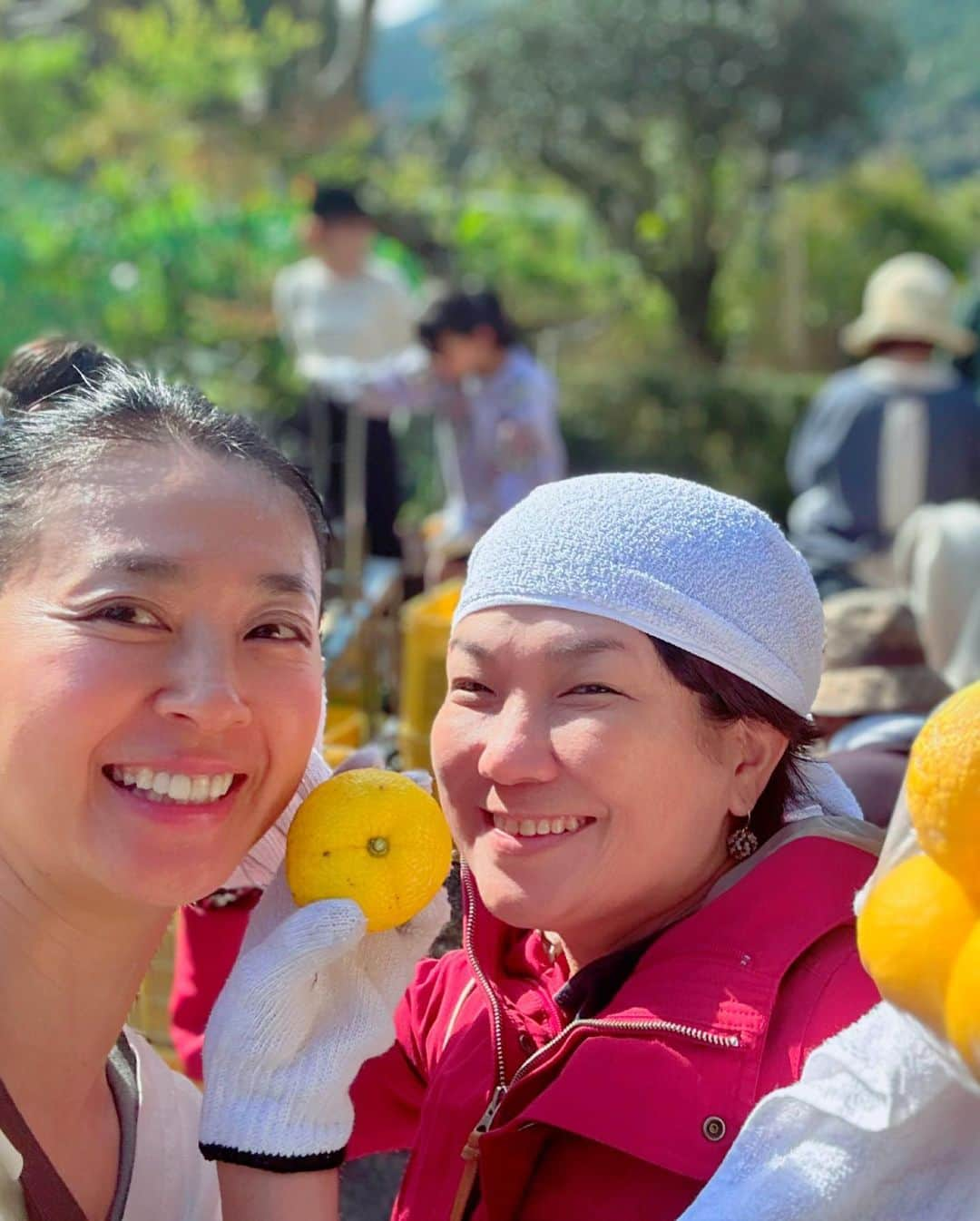 前田文香さんのインスタグラム写真 - (前田文香Instagram)「今年も恒例の『高知の柚子狩り🍊』へ行って参りました⭐️今回は私も完全プライベート☀️行きたいと声をかけて下さった方と現地集合🚗✨  最高のお天気に恵まれて、美味しいもの頂いて、たくさん柚子を頂いて帰りました！  農家の松本さんご一家に、今年も大変お世話になりました！心からのおもてなしに🌼またまた感動&感謝です✨  ★高知柚子狩りの旅（毎年11月上旬のみ） おもてなし　野根家https://toyo-noneya.com/」11月13日 9時51分 - fumika.maeda