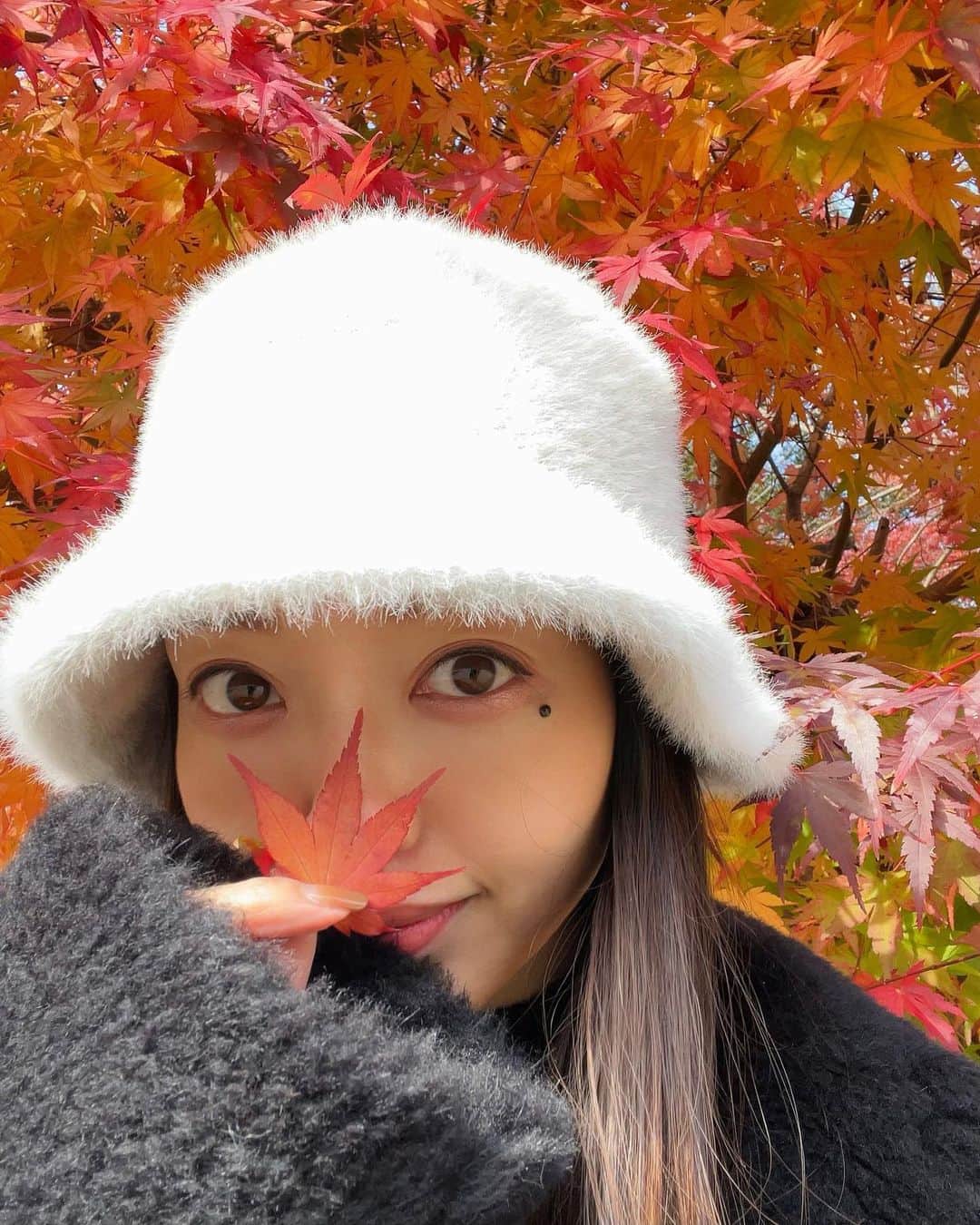 松島花のインスタグラム：「: おはようございます♡ 軽井沢の紅葉を皆さんにお届け🤗 とってもキレイです〜🍁🍁🍁 お買い物していた @maxmara の黒の TEDDYコートを軽井沢で初おろし🐻 軽くて暖かくて最高です☺️ 全身写真も3枚目に載せます🤳 : 一気に冬の寒さになったので🥶風邪を 引かないように暖かくしてくださいね🧣 これからの季節、"アーモンド効果"を ホットにして飲むのがオススメです🫶🏻 今週もがんばりましょう♡ : #monday #月曜の花 #えいえいおー #今週もよろしくお願いします」