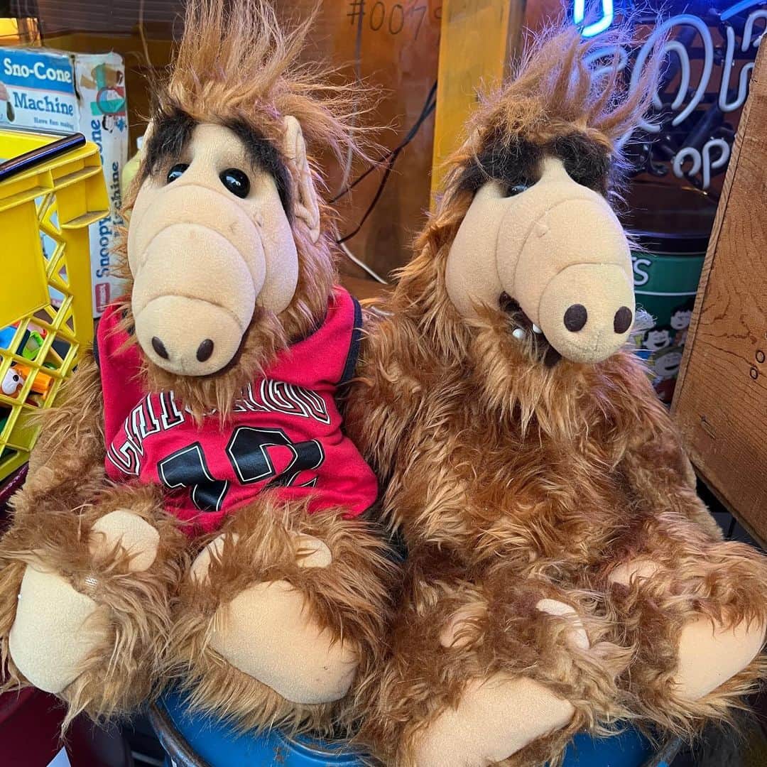 kiarrysのインスタグラム：「1980’s Vintage ALF Plush Doll. Web shop New in Today.所ジョージさん吹き替えは覚えてても、見た目からなのか？何故か名前はウルフって覚えてる方が意外に人多い。本名は宇宙人ゴードン・シャムウェイさん。」