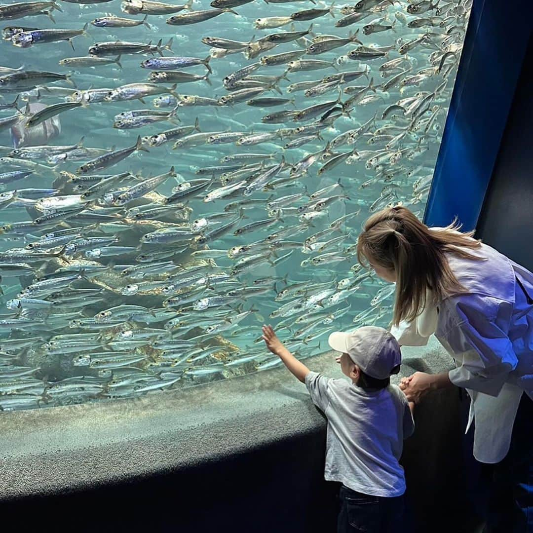 瀬戸サオリさんのインスタグラム写真 - (瀬戸サオリInstagram)「癒しの景色…🪸  寒くなりすぎて 一気に年末感😭🤍  誕生日にクリスマスに イベントづくし👦🏻🎂  毎日大切に… 今日もみんな頑張ろ〜☺️  #水族館デート」11月13日 11時13分 - seto_saori