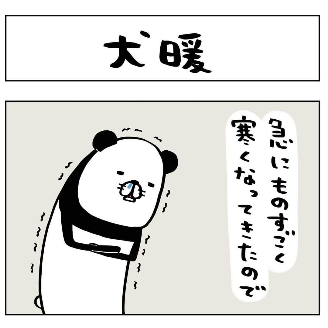 のインスタグラム：「日常4コマーぬと 全体的にあったかいーぬ  #4コマ#パンダと犬#犬かわいい#犬#ビーグル#スティーヴンスピルハンバーグ」