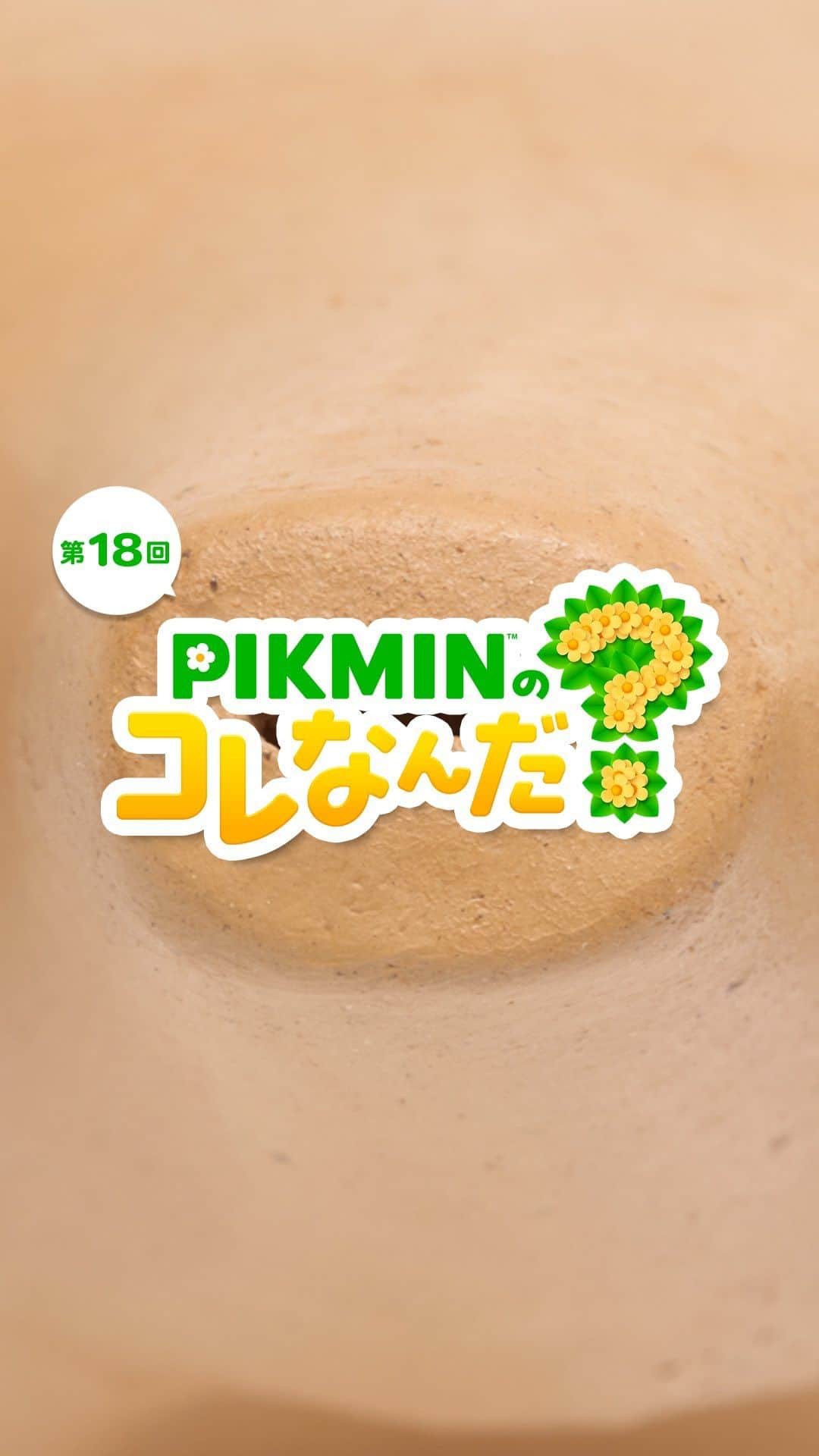 任天堂のインスタグラム：「「PIKMINのコレなんだ？」第18回  ピクミンたちが見つけたものはなんでしょう？  #ピクミン #pikmin #これなんだ #NintendoSwitch #Nintendo #任天堂」
