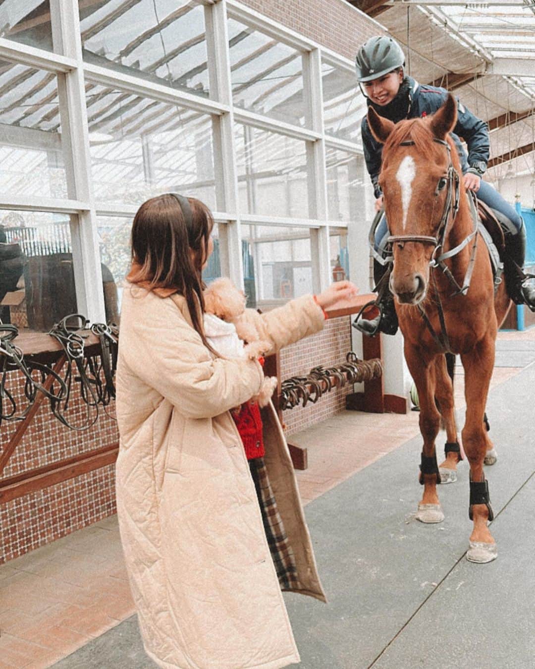 紗栄子さんのインスタグラム写真 - (紗栄子Instagram)「ただいま @nasufarmvillage 私のホーム🥰🩵🏠🐎🪽✨  もうすっかり秋模様のファームは、これから紅葉も綺麗な季節です☺️🤎🍁🍂  去年の今頃に保護馬としてファームにやってきたキングブレイクくんが、馬場でトレーニングをしている様子をララミとチェック🐎🪽🐶🫧  ブレイクくんは腰のリハビリを頑張って、今ではしっかり走れるようになりました🥰🤍🐎🫧  レストランでは寒い季節に恋しくなるホットドリンクのラインナップも増えてきていたよ☕️🤎🤍(私が飲んでいるのはメープルラテ🍁)  そして、その後は商品開発部とのMTG🎀✨🤍  @man10man_ は札幌のPOPUPのためにキツネの耳を準備しておりました🦊🍂✨  営業後に打ち合わせをしていたら、牧草管理部の香山さんがにわとりのツゥ🐓が産んだ無精卵の卵を持ってきてくれました☺️🐓🥚🫧  これはレストランで販売されているプリンに🍮✨🫧  厩舎の前ではスタッフのリコちゃんが落ち葉アートでLaraを作ってくれたので、新しいフォトスポット、みんなも是非見つけてみてね🥰🍂🫶🏻🐶🍁  #nasufarmvillage」11月13日 12時04分 - saekoofficial
