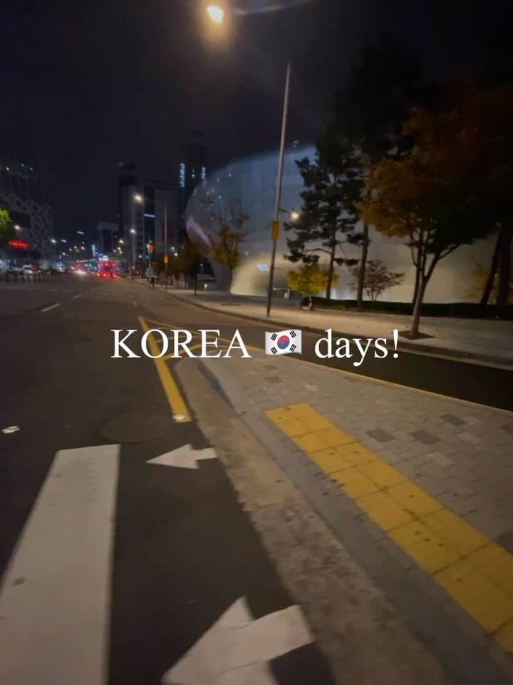 堀舞紀のインスタグラム：「🇰🇷🥟🍲🌶  🫶🏾〜💕  #韓国料理屋  #韓国グルメ  #韓国 #韓国旅行 #韓国コーデ  #韓国ストリート  #koreatravel  #korea #マイノトカーン」