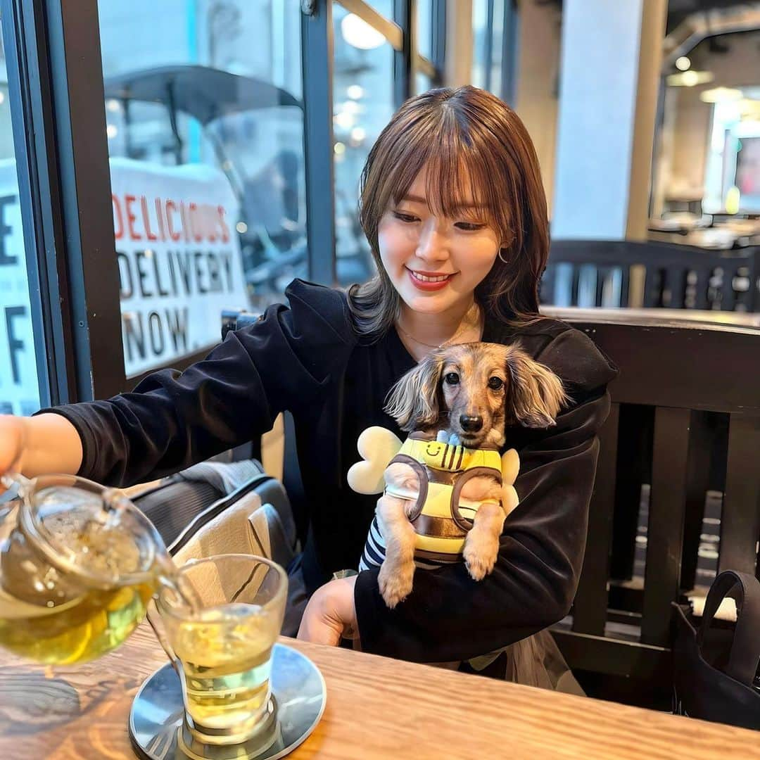 藤川沙弥さんのインスタグラム写真 - (藤川沙弥Instagram)「🐶♥︎ 今秋テラス席お出かけできる時期あった🙄？笑 ってくらい寒くて室内で🫖🤍 お気に入りのベロアカーディガンは @dolce._official です♥︎♥︎ 合わせやすくて届いてから何回も着てる🥹♥︎  コンタクトは @onlinecontact で feliamoのｱﾌｫｶﾞｰﾄﾞがお気に入り♥︎♥︎♥︎」11月13日 12時08分 - s_a_y_a_p_i