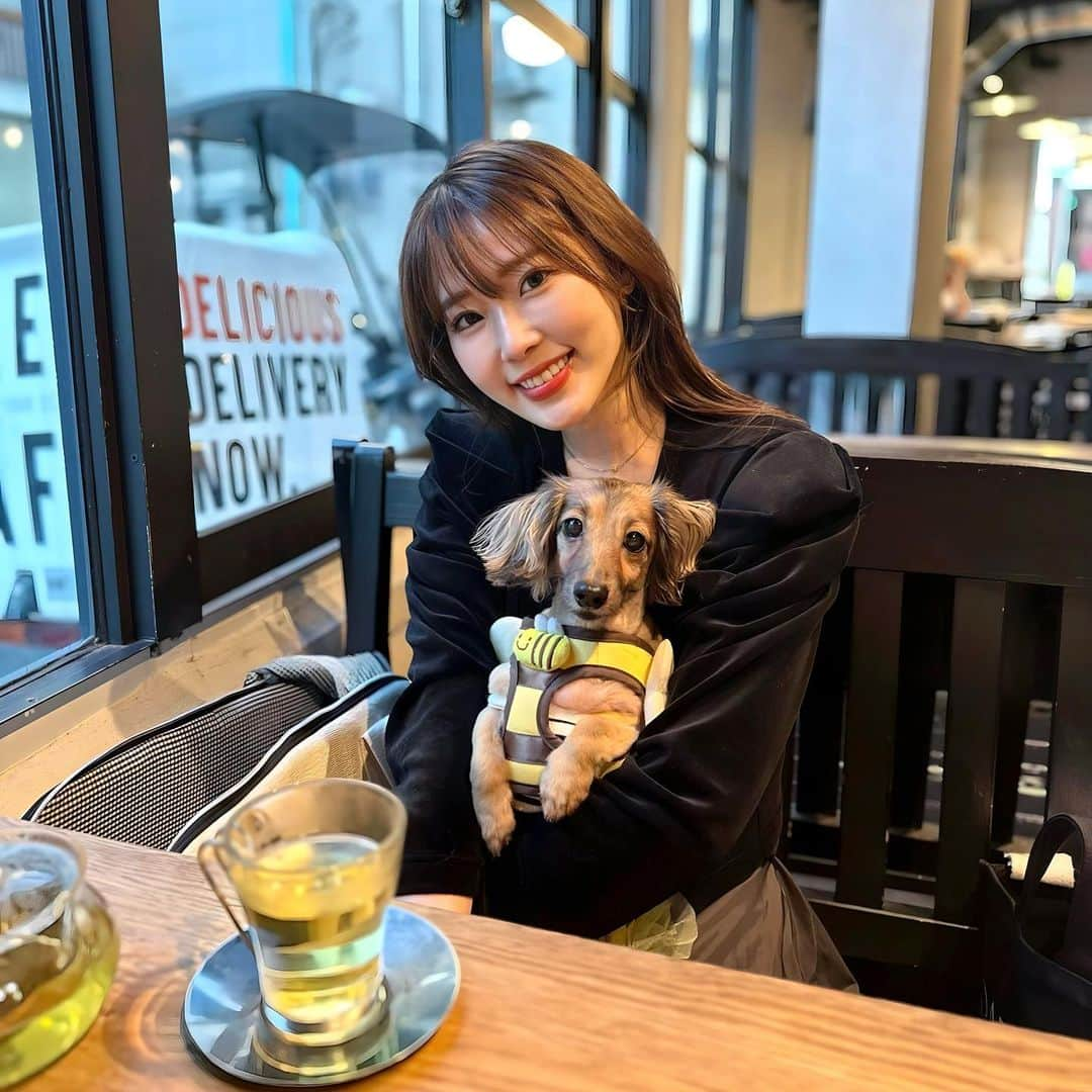 藤川沙弥のインスタグラム：「🐶♥︎ 今秋テラス席お出かけできる時期あった🙄？笑 ってくらい寒くて室内で🫖🤍 お気に入りのベロアカーディガンは @dolce._official です♥︎♥︎ 合わせやすくて届いてから何回も着てる🥹♥︎  コンタクトは @onlinecontact で feliamoのｱﾌｫｶﾞｰﾄﾞがお気に入り♥︎♥︎♥︎」